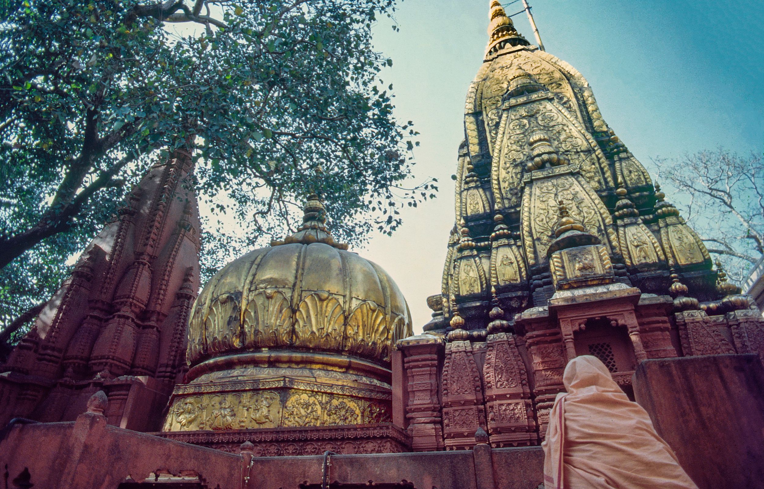 至尊神猴哈努曼寺 & Durga Temple Durgakund Varanasi半天遊