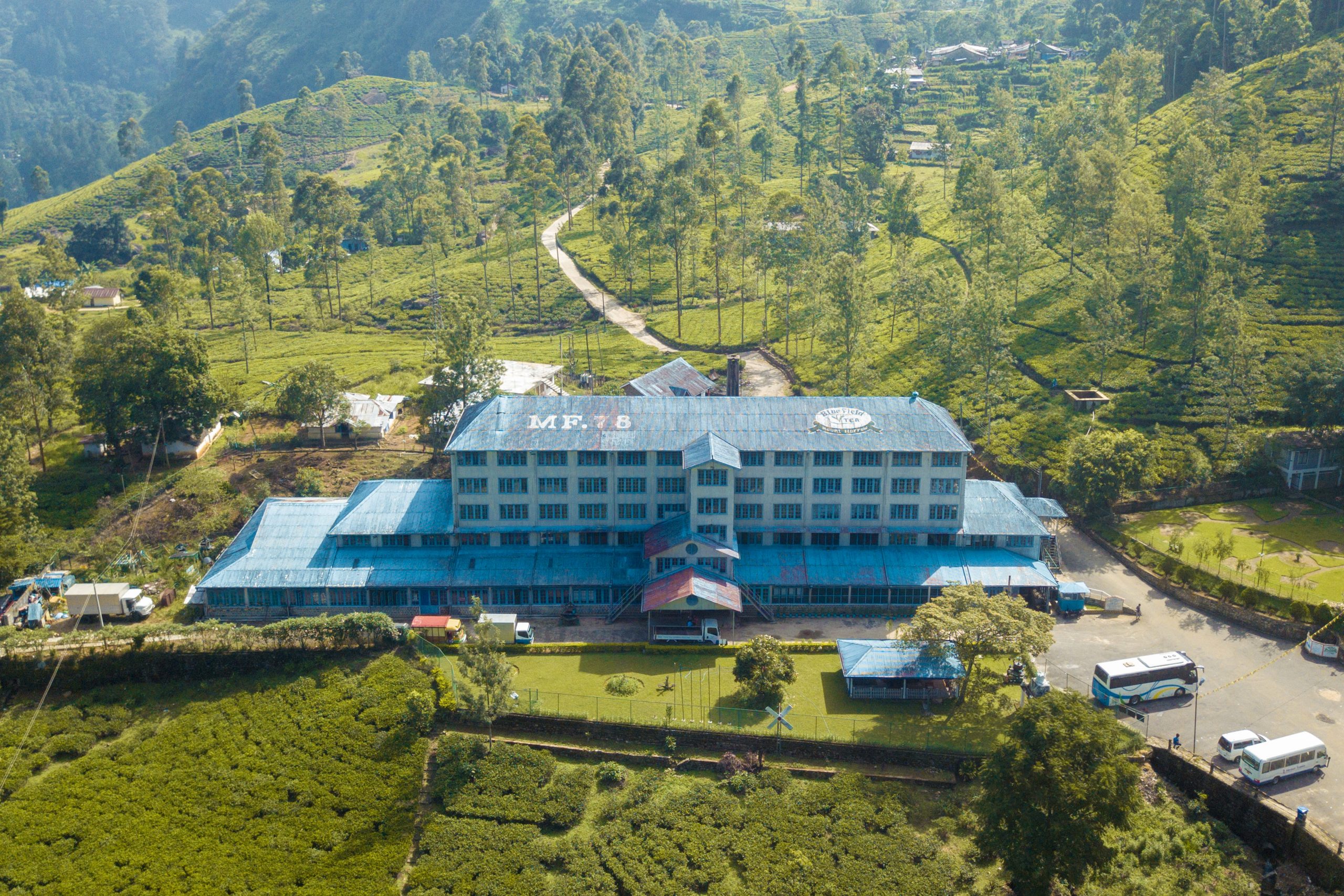 茶廠探索與品茶之旅