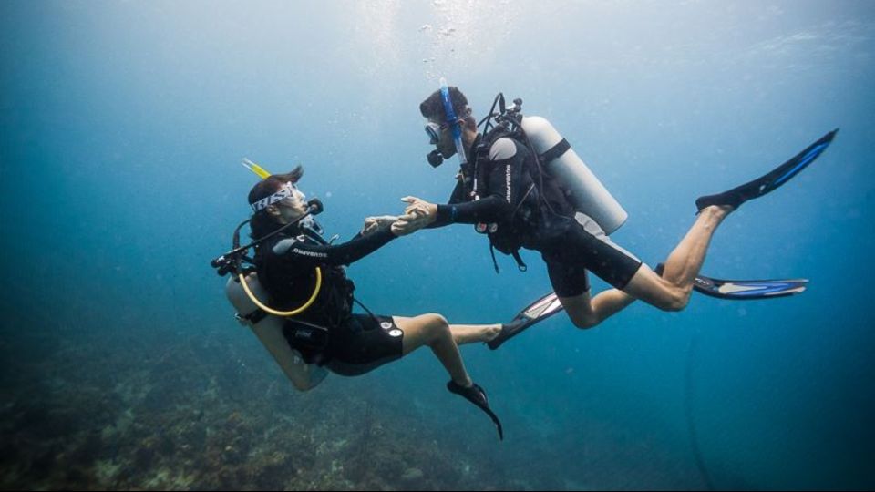 赫爾格達：橘子島潛水與浮潛之旅（含午餐）