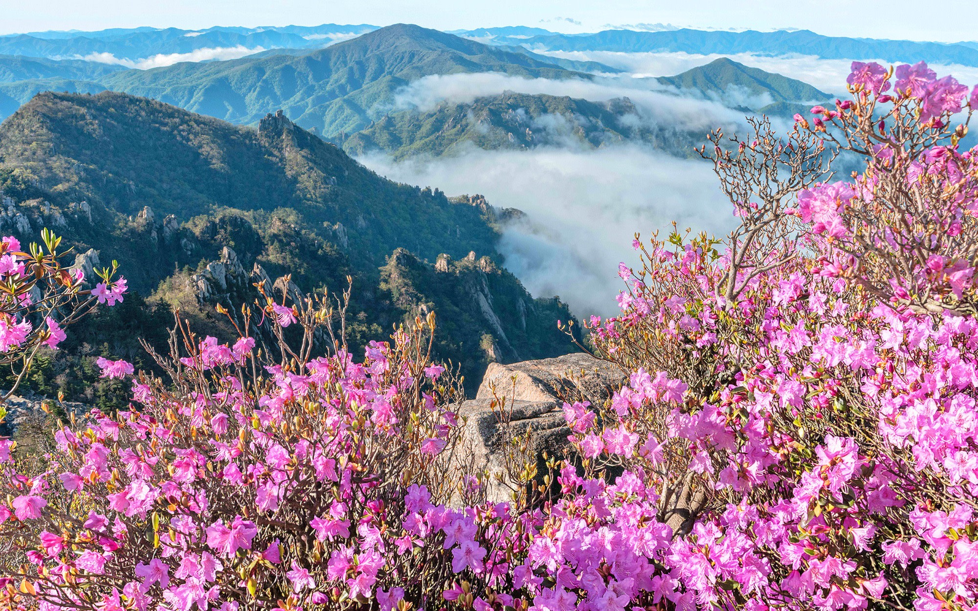 Seorak Mountain Panorama Highlights Day Tour from Seoul