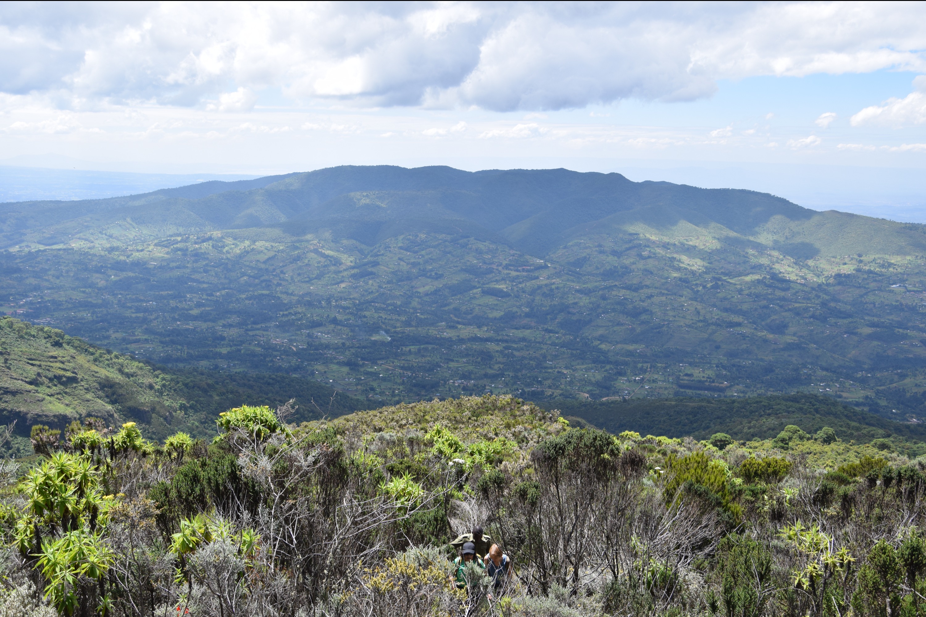 Hike the Enchanting Seven Ponds of the Aberdares (One-Day Trip)