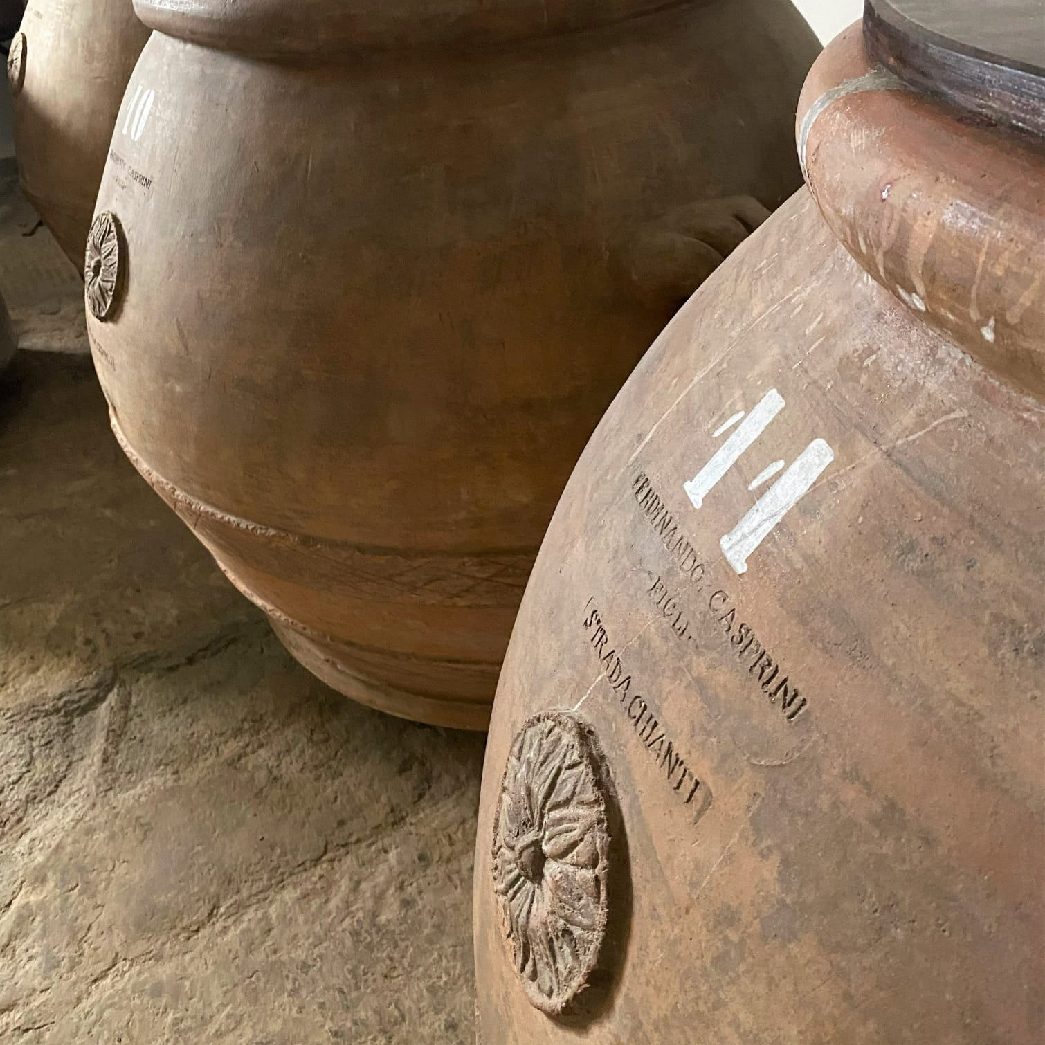 Tuscan Bites & Sips: Discover Tuscany Through Wine