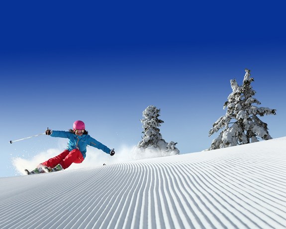 盛岡車站 (Morioka Station) - 安比高原滑雪場 (Appi Ski Resort) 接駁巴士