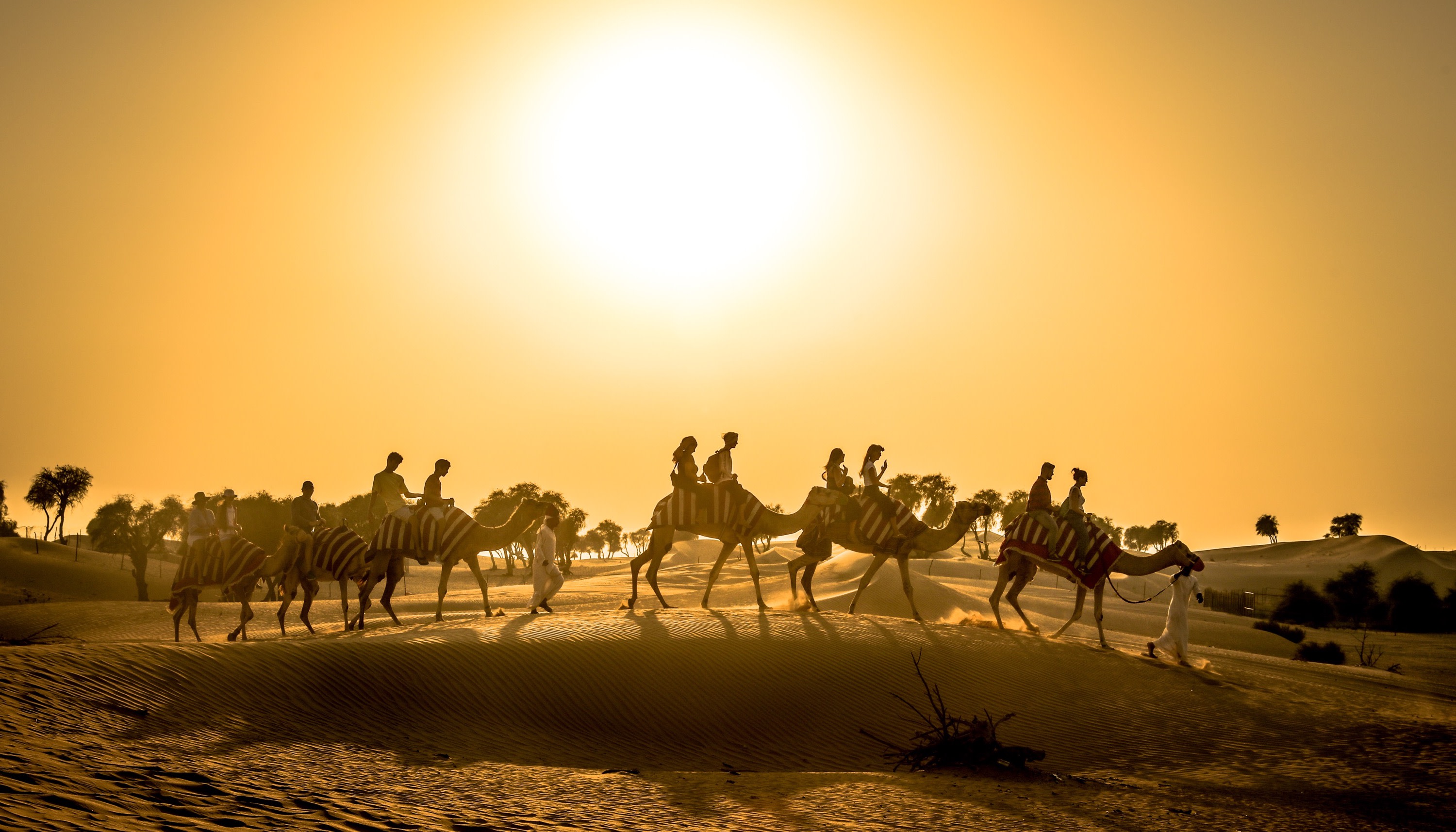 Dubai Camel & Horse Riding Tour with BBQ Dinner at Al Khayma