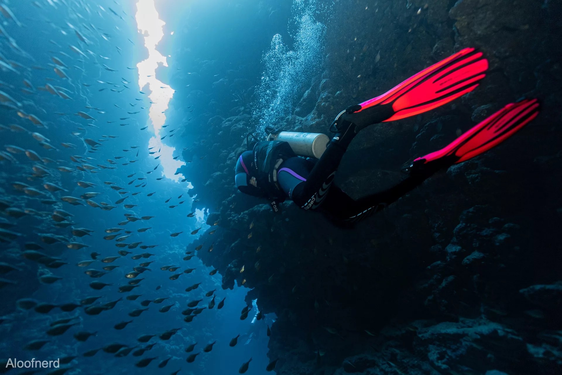 PADI Enriched Air Diver in Dahab with PADI 5 Star Dive Resort