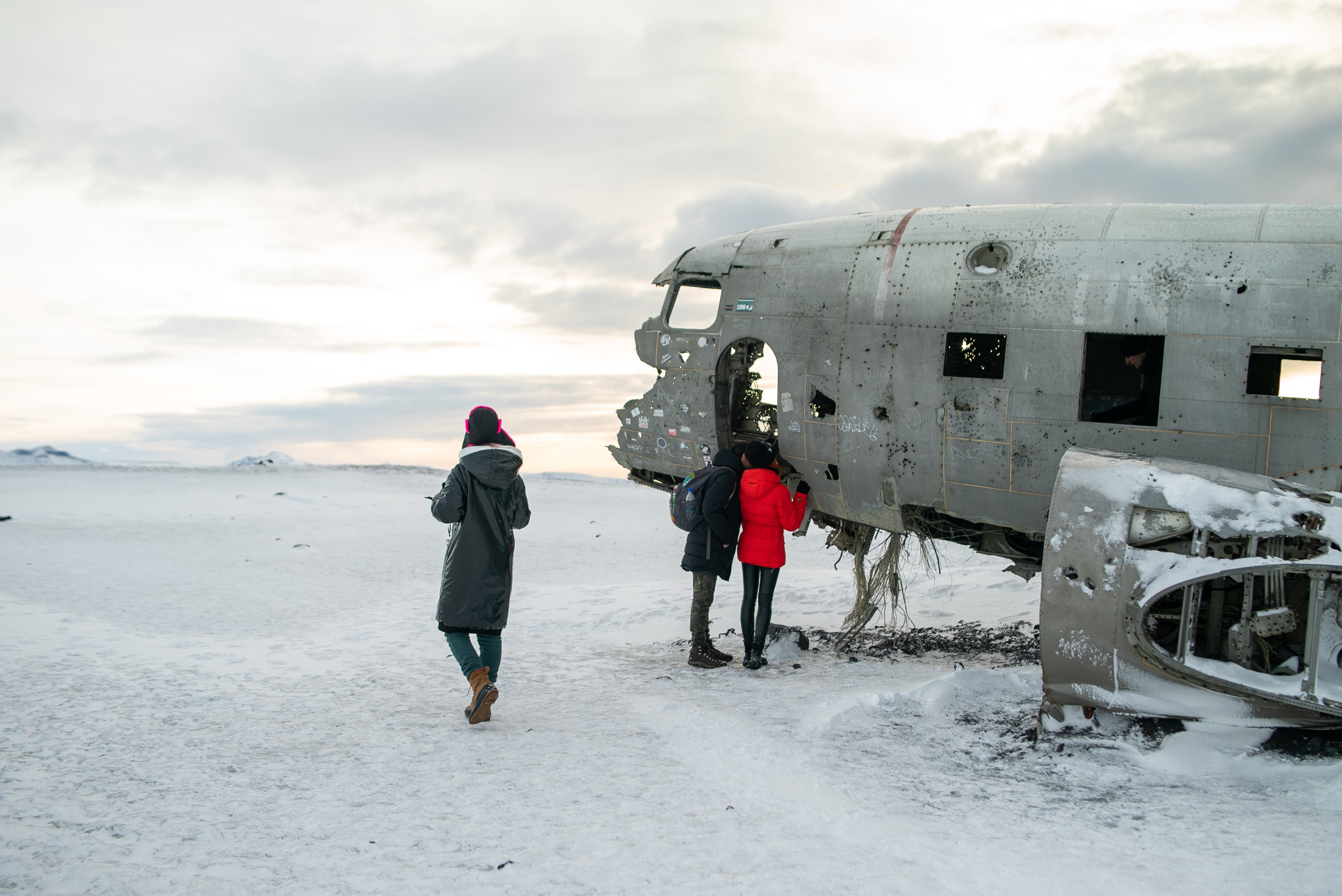 South Coast and Solheimasandur Plane Wreck Day Tour from Reykjavik