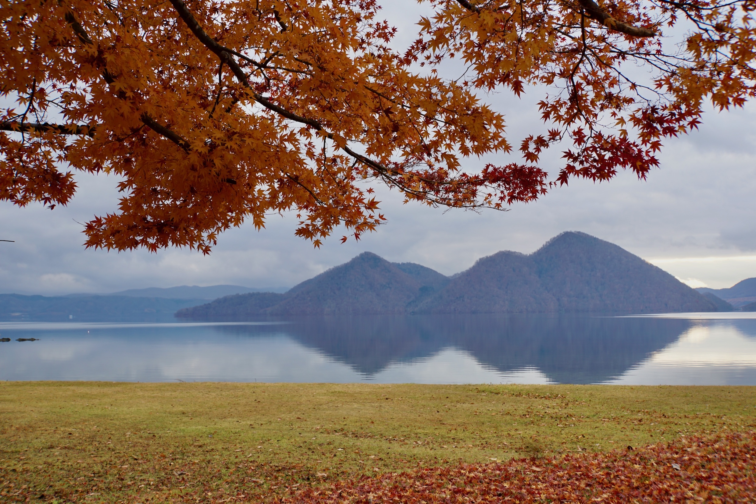 春夏綠意盎然,秋季層林盡染。 春夏綠意盎然,秋季層林盡染。