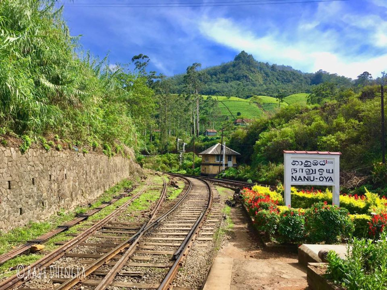康提到努沃勒埃利耶觀光火車一等座預訂