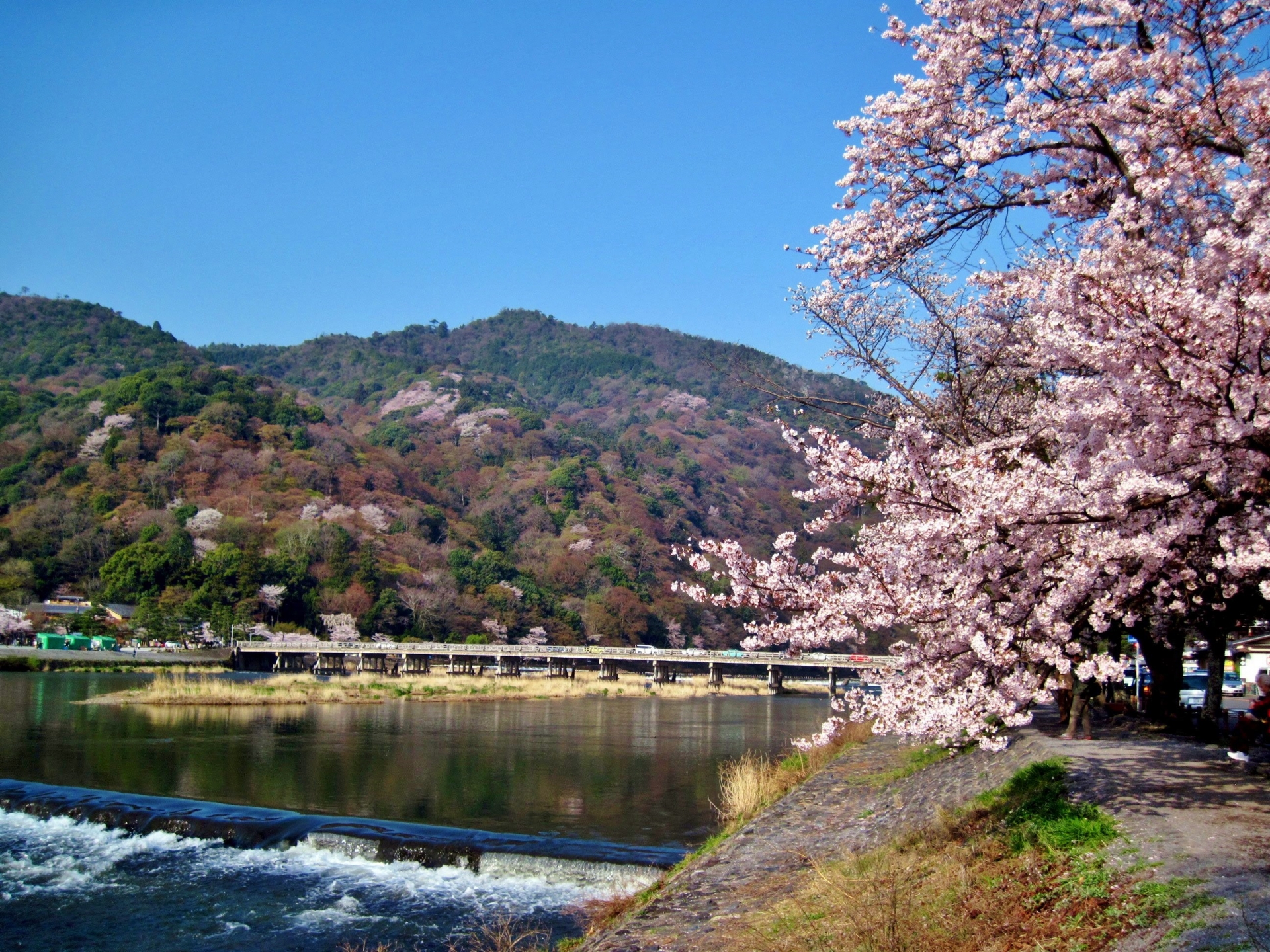 京都夜景一日遊｜嵐山・伏見稻荷大社・三年坂・八坂神社・花見小路・先斗町｜神戶牛肉涮涮鍋定食｜大阪出發