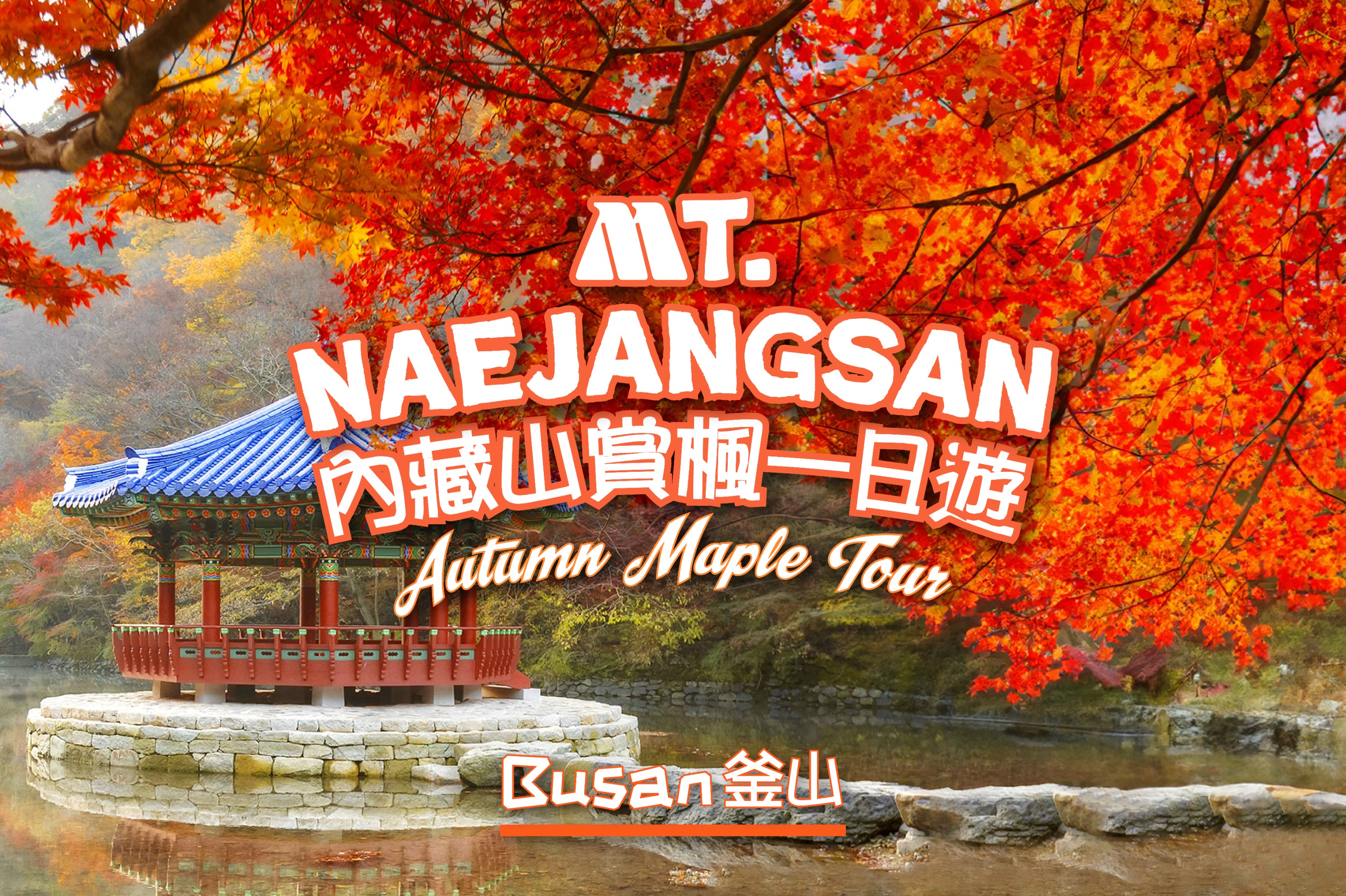 Naejangsan National Park Autumn Day Tour from Busan