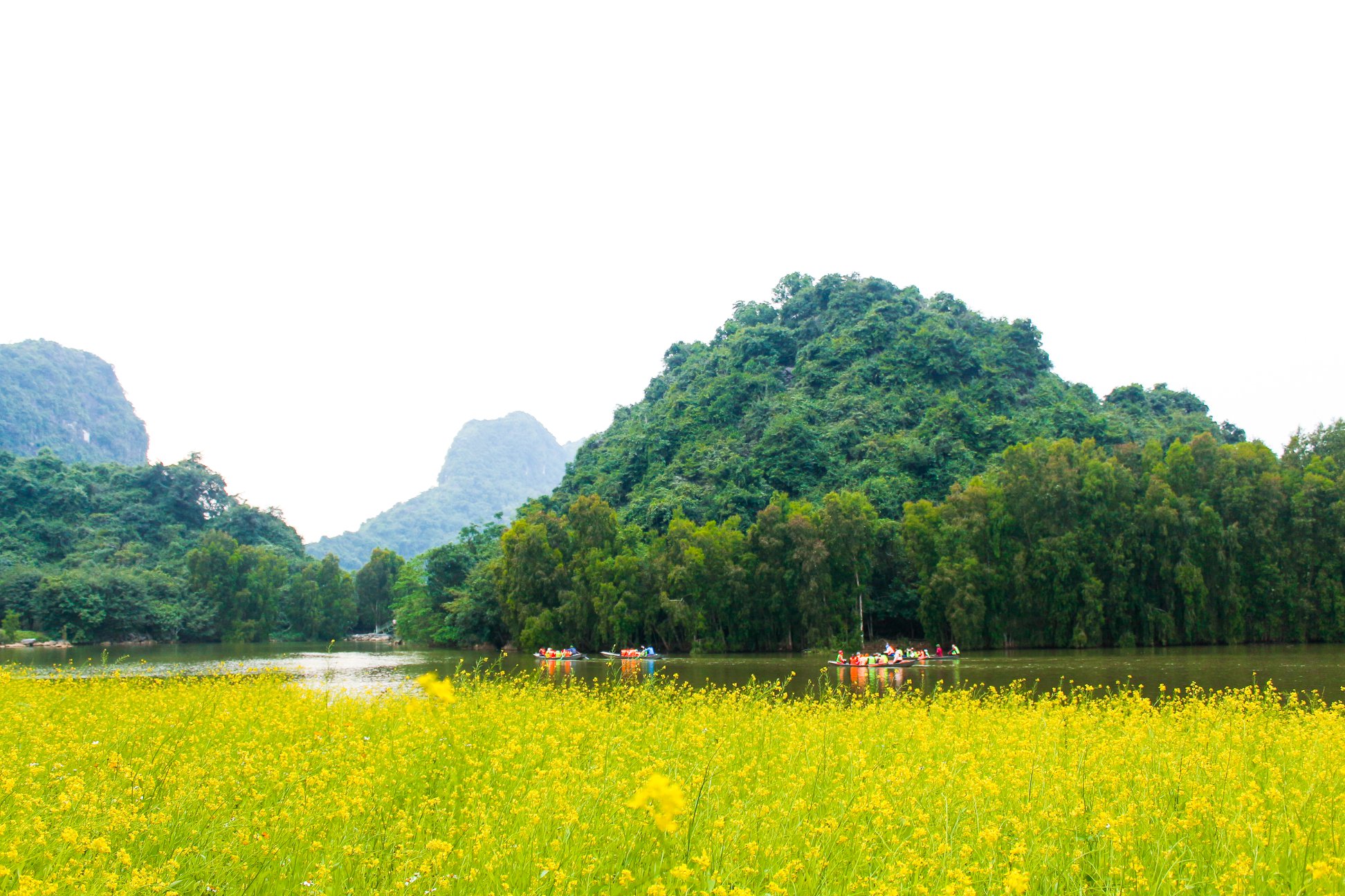 Thung Nham Bird Park Ticket