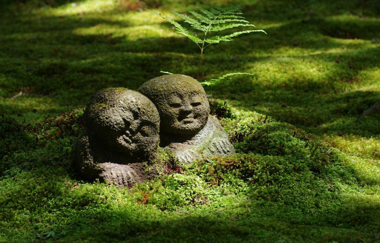 滋賀｜琵琶湖白鬚神社·展望臺/京都嵐山三千院·滿月寺浮御堂·近江八幡一日遊｜大阪/京都出發