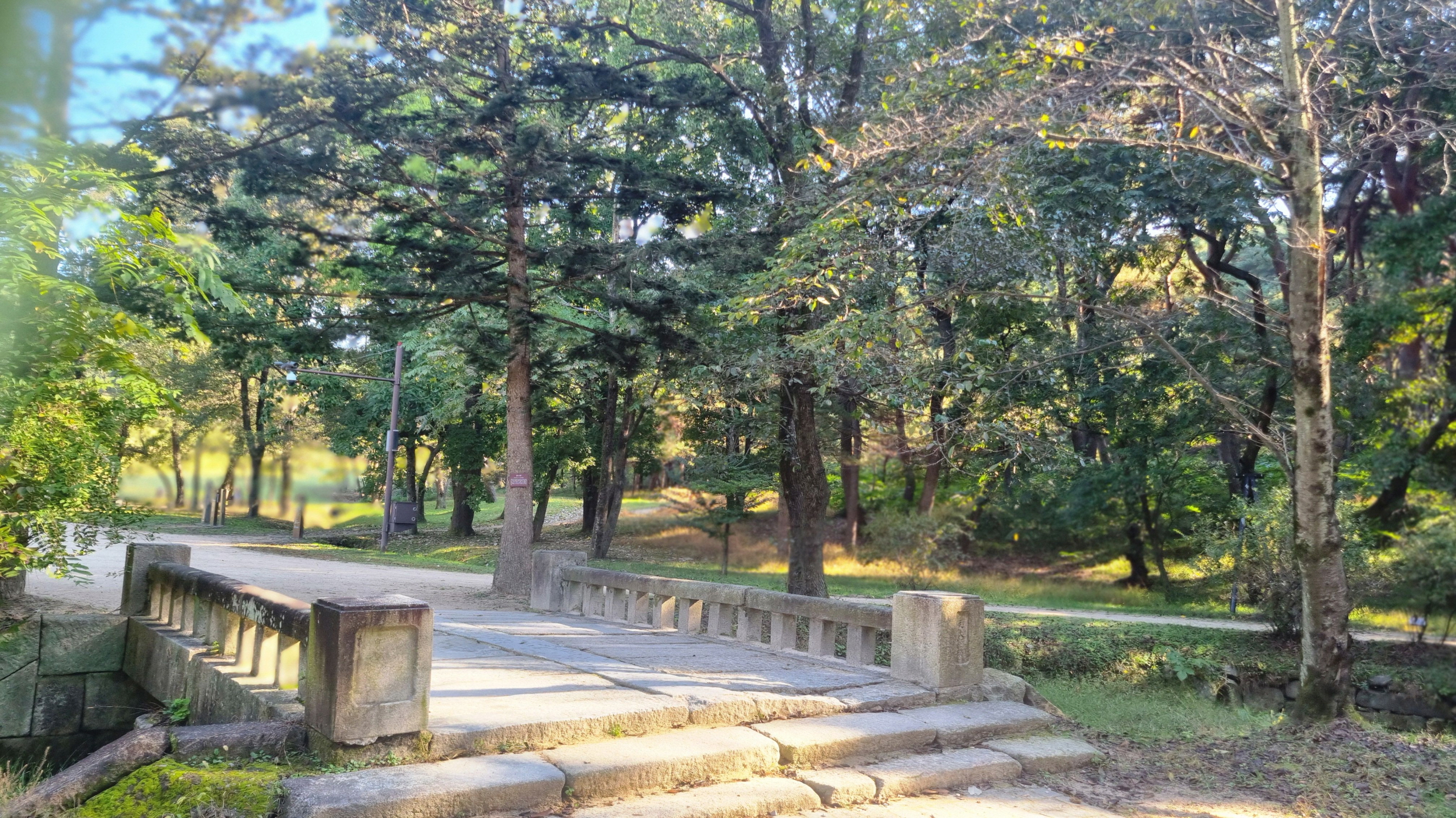 Suwon Hwaseong fortress and Starfield library tour 