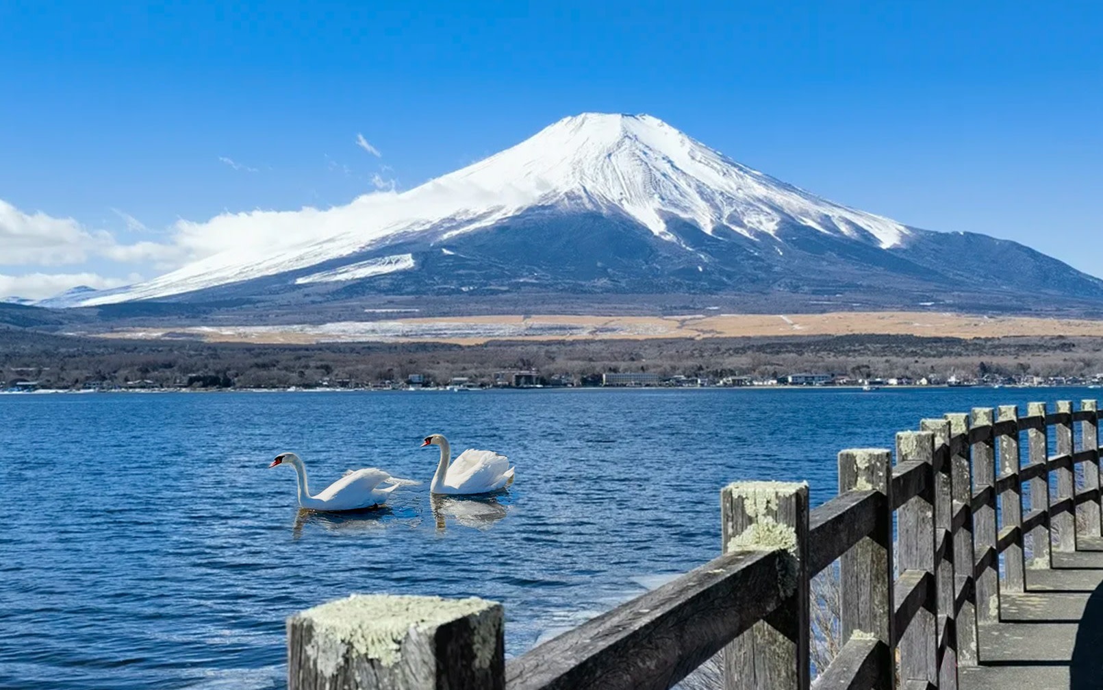 Mount Fuji Popular Twin Lakes Instagram Tour (Optional KABA/Swan Lake Cruise) | Departs from Tokyo