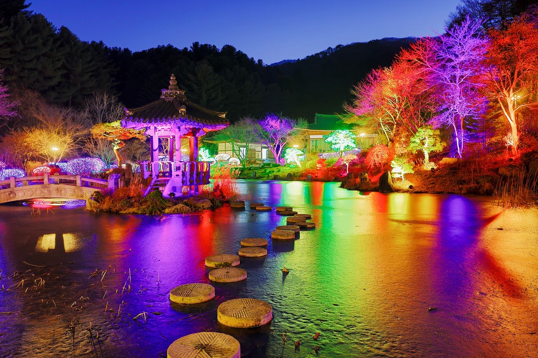 冬季的晨靜樹木園🎇 當太陽落山時,閃爍的燈光照亮了整個場景,營造出童話般的氛圍。 冬季的晨靜樹木園🎇 當太陽落山時,閃爍的燈光照亮了整個場景,營造出童話般的氛圍。