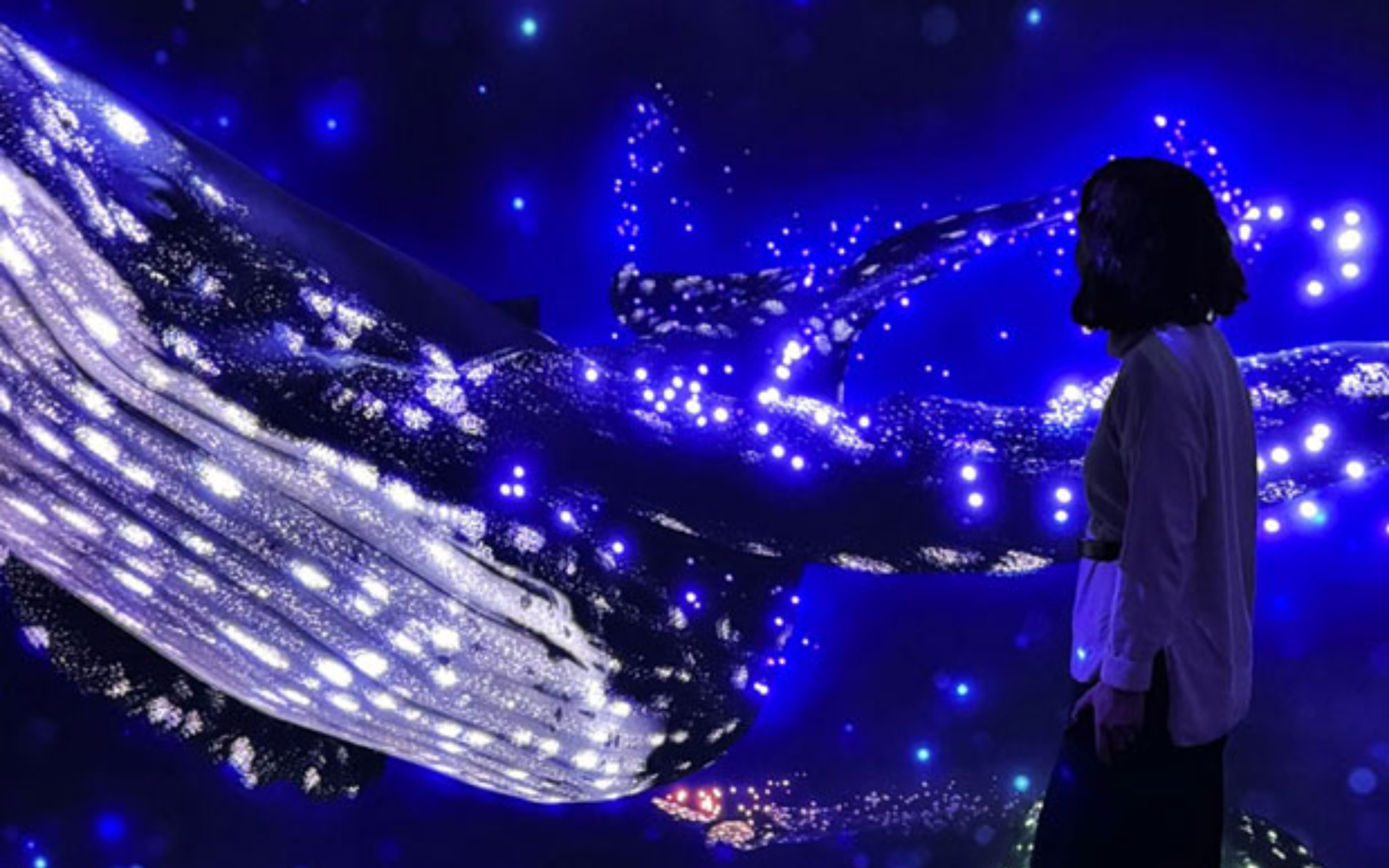 賓客在數位空間中,欣賞被閃爍燈光環繞的全息鯨魚。 賓客在數位空間中,欣賞被閃爍燈光環繞的全息鯨魚。