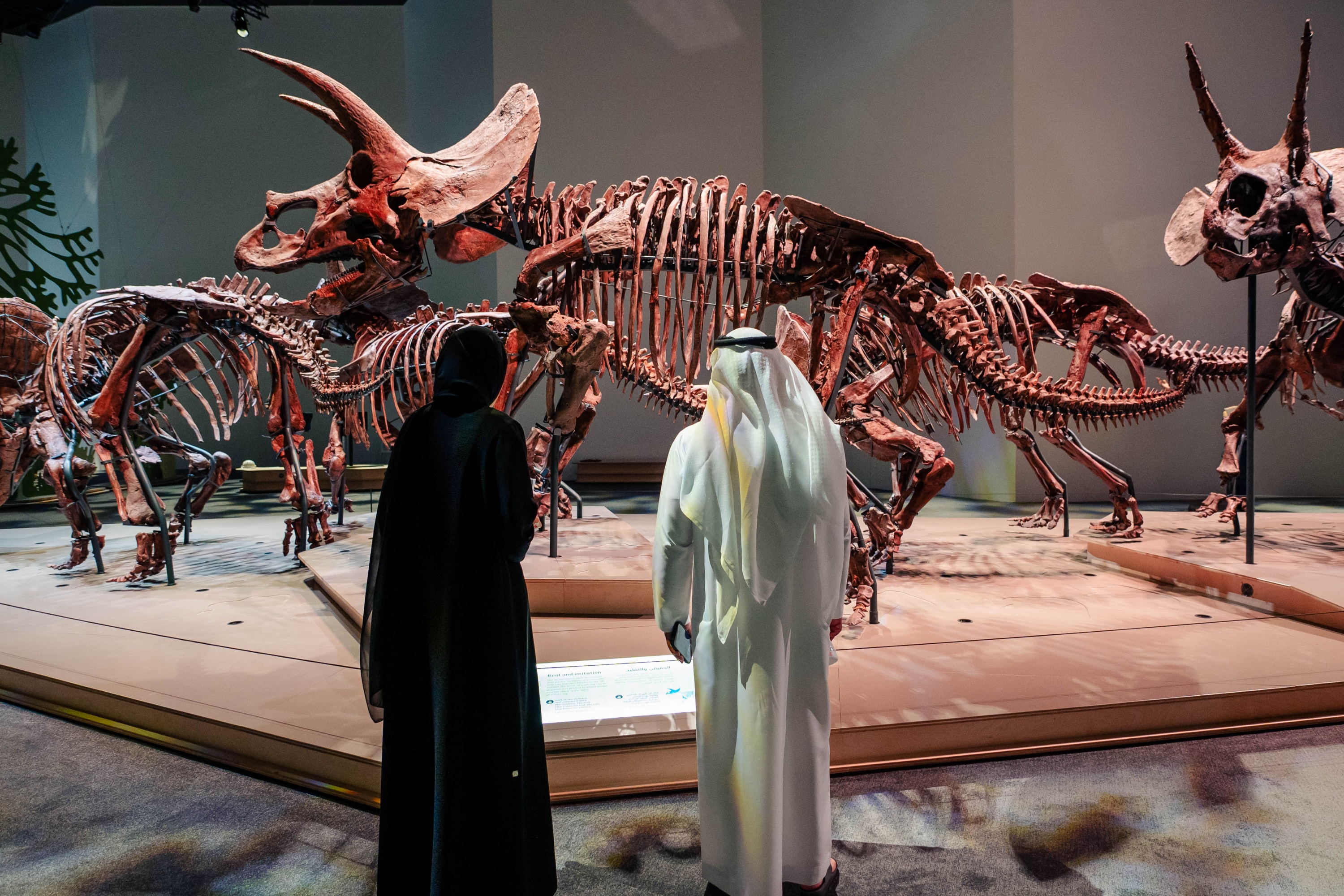 Natural History Museum Ticket in Abu Dhabi