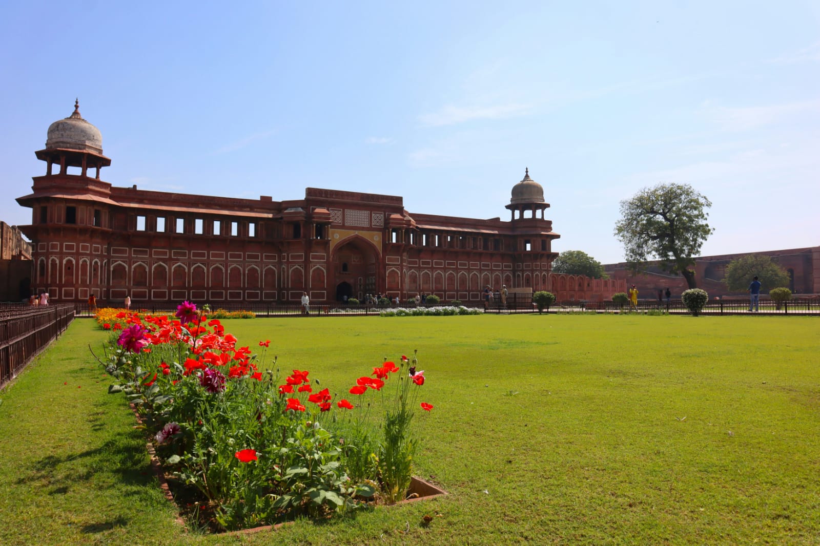 泰姬瑪哈陵 (Taj Mahal) 與阿格拉 (Agra) 之旅（德里 (Delhi) 出發），含午餐和門票選項