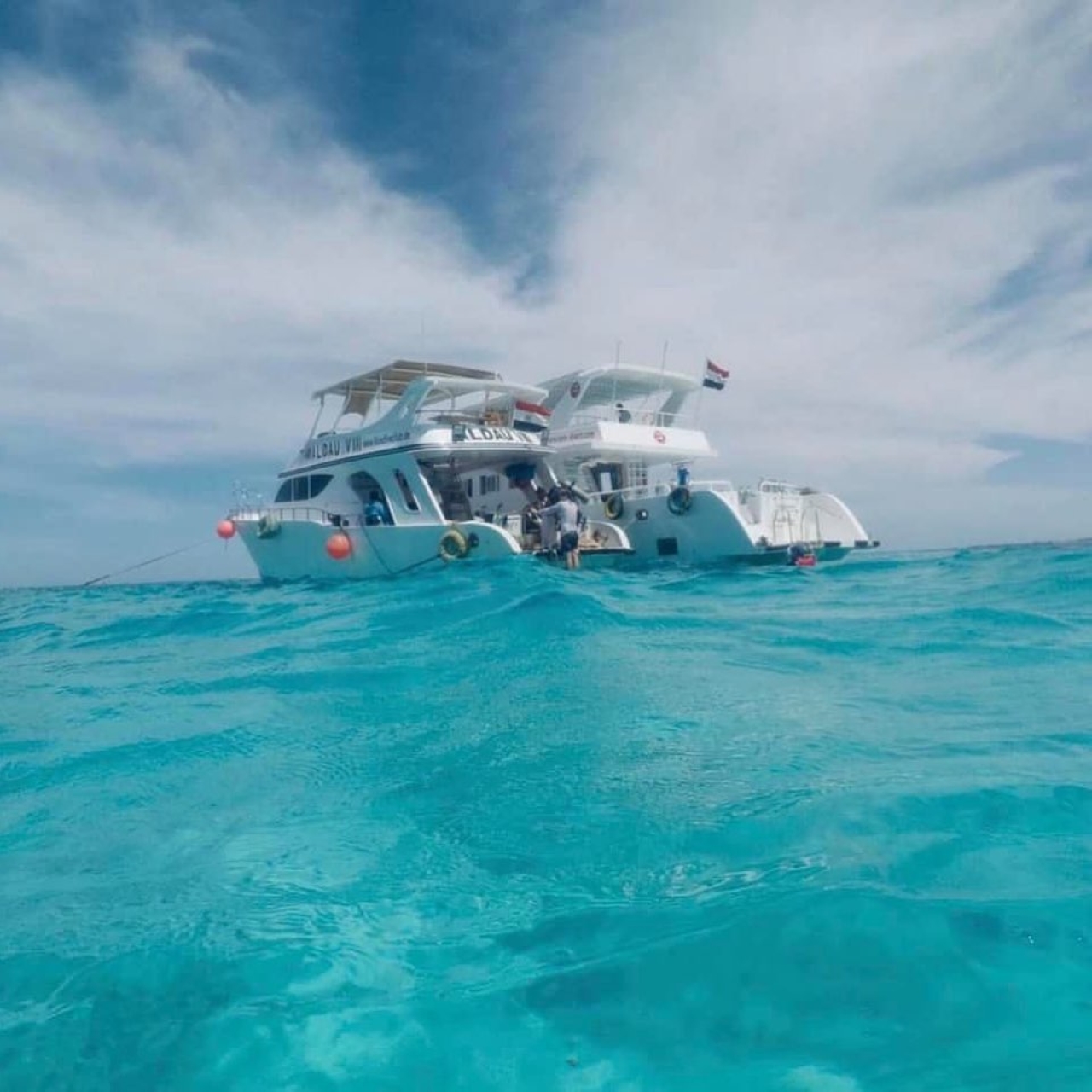 Dolphin House Reef Snorkeling Adventure & Transfers – Marsa Alam