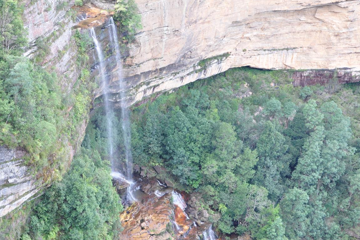 終極藍山小團遊（雪梨出發）