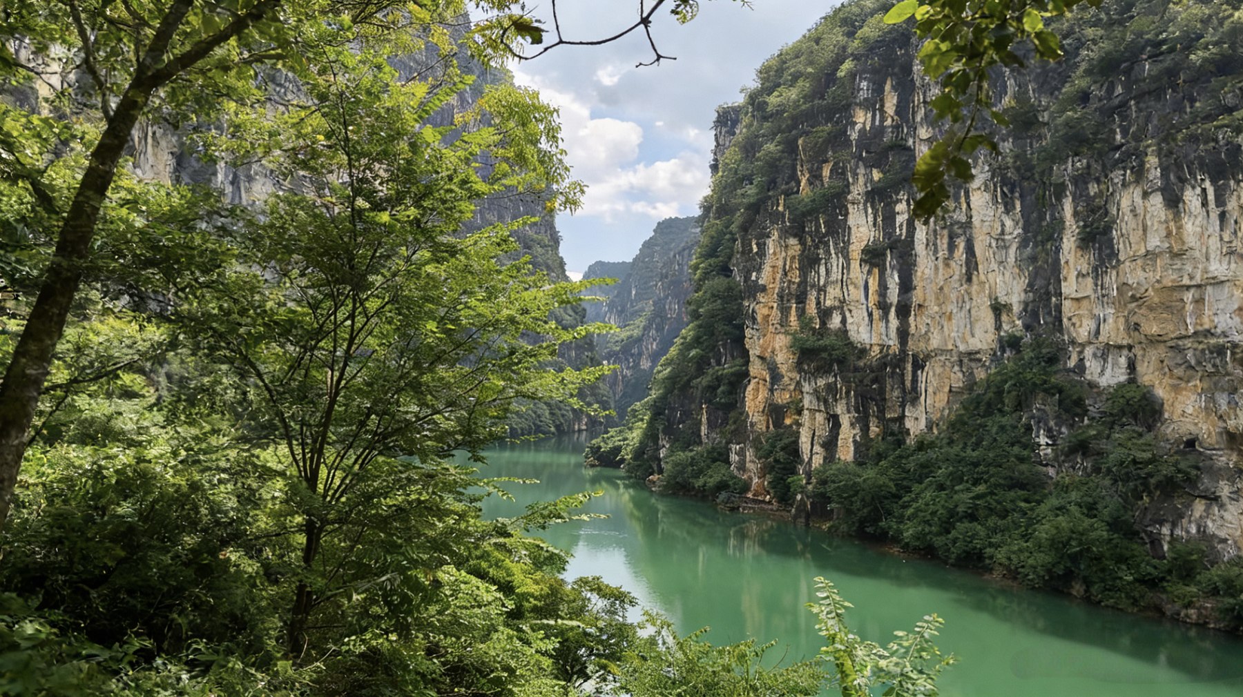 巖壁的淺褐與草木的深翠撞出層次,,把峽谷的靜謐又揉進了幾分溫柔 巖壁的淺褐與草木的深翠撞出層次,,把峽谷的靜謐又揉進了幾分溫柔
