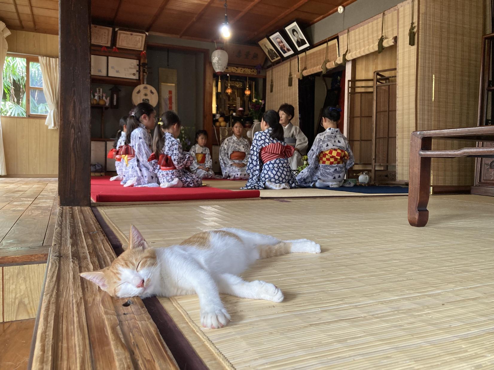 A Japanese Traditional Tatami Room Dance by Sumiyoshi Sachu
