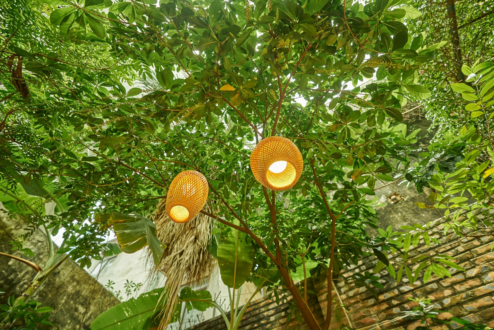 花園美食烹飪課 & 河內市場遊覽之旅