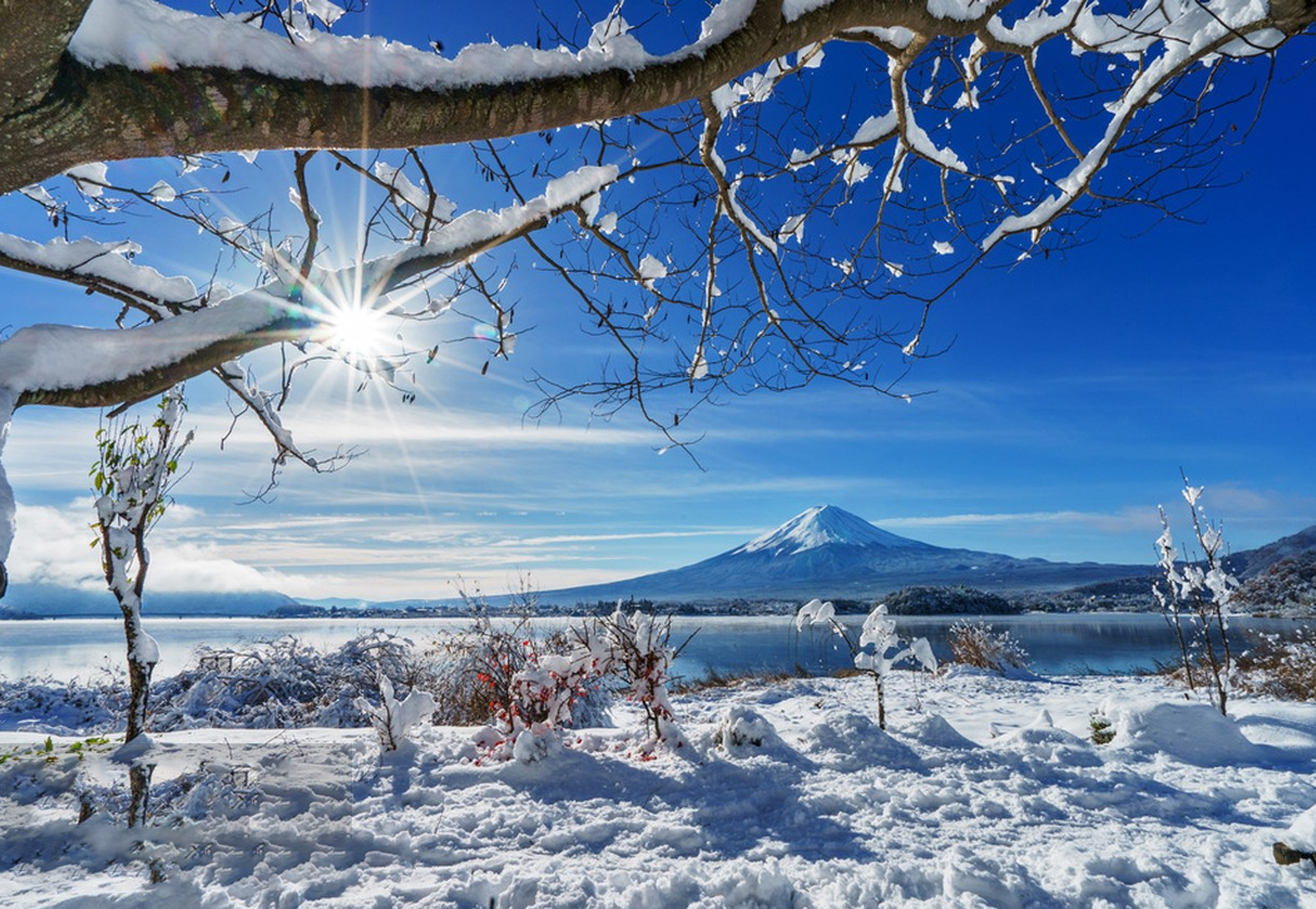 大石公園銀裝素裹，冬日雪景純淨治癒！