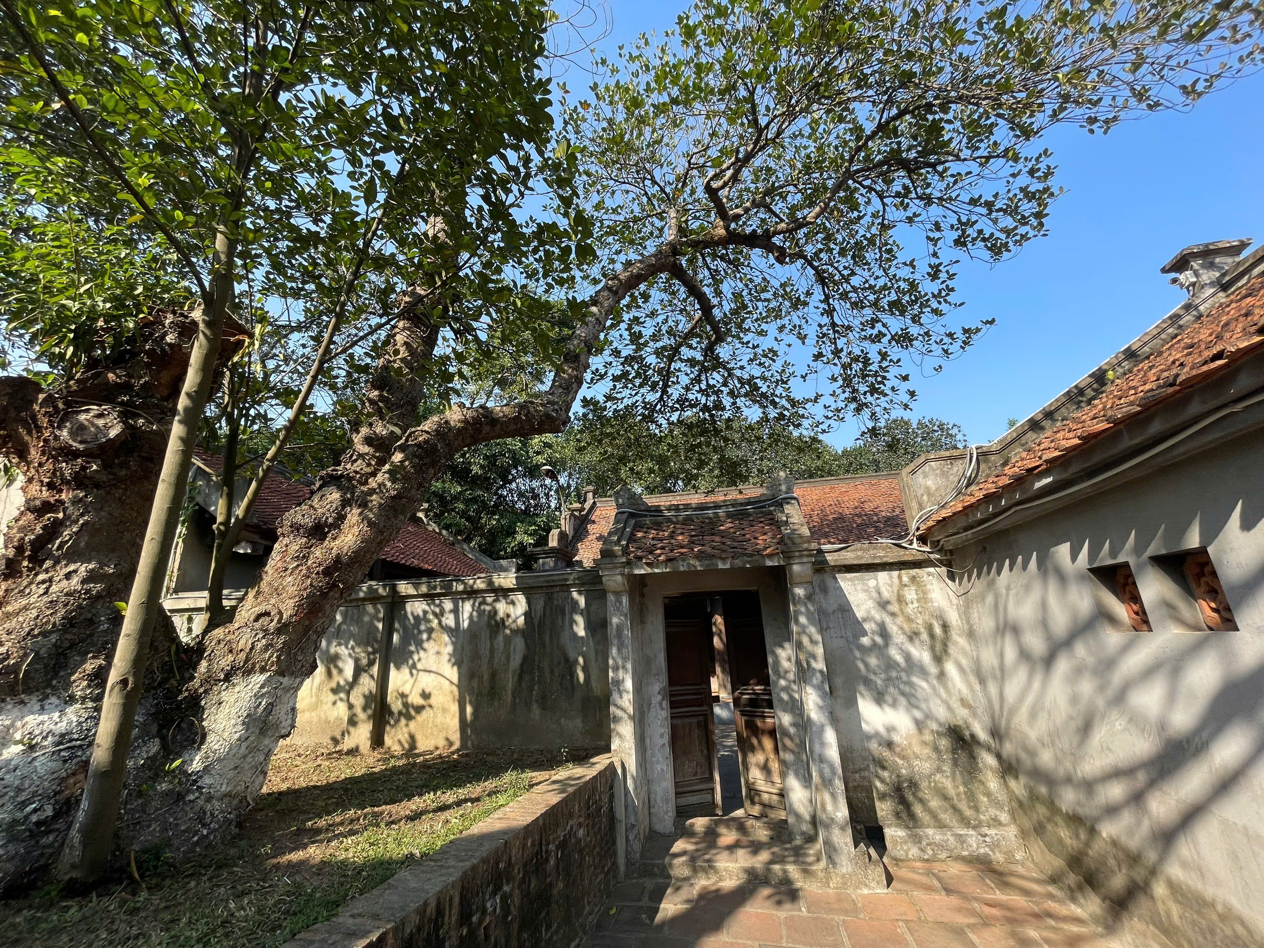 探索河內：體驗地道的半日吉普車之旅