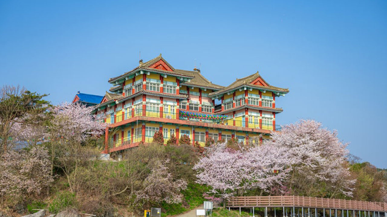 花瓣隨風飄揚，與海浪聲融為一體，譜出春天最寧靜的旋律。