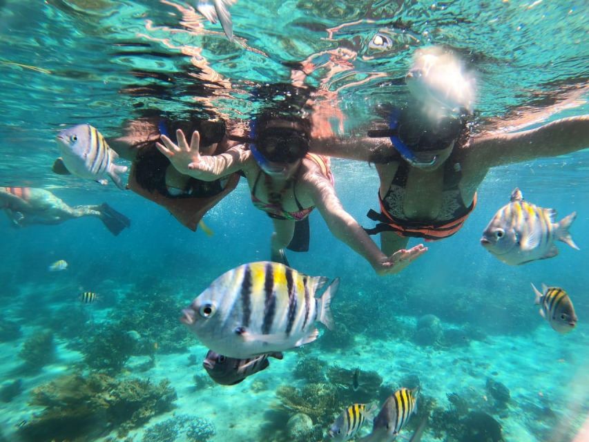 橙灣一日浮潛及遊艇之旅