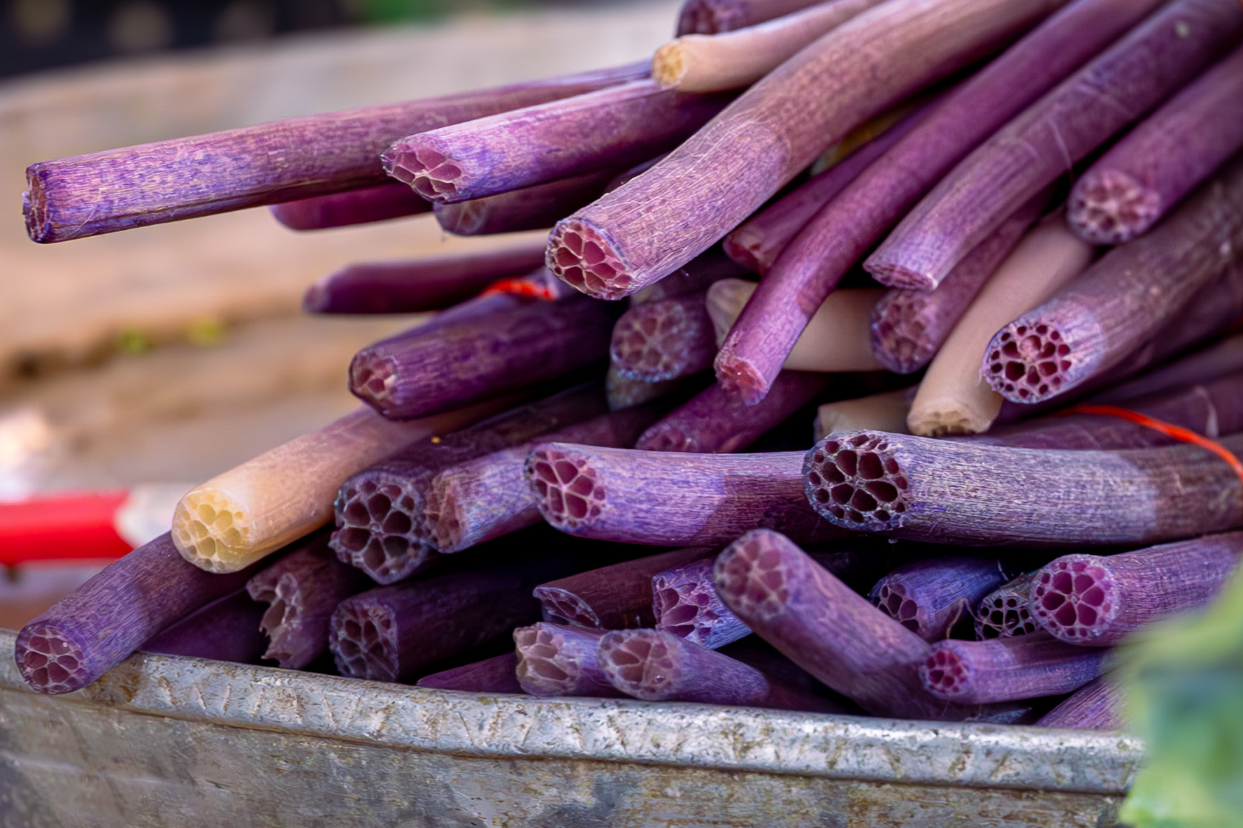 認識有趣的食材 認識有趣的食材