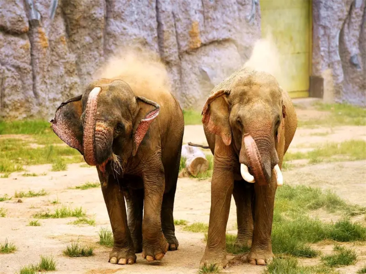 Qingdao Forest Wildlife World