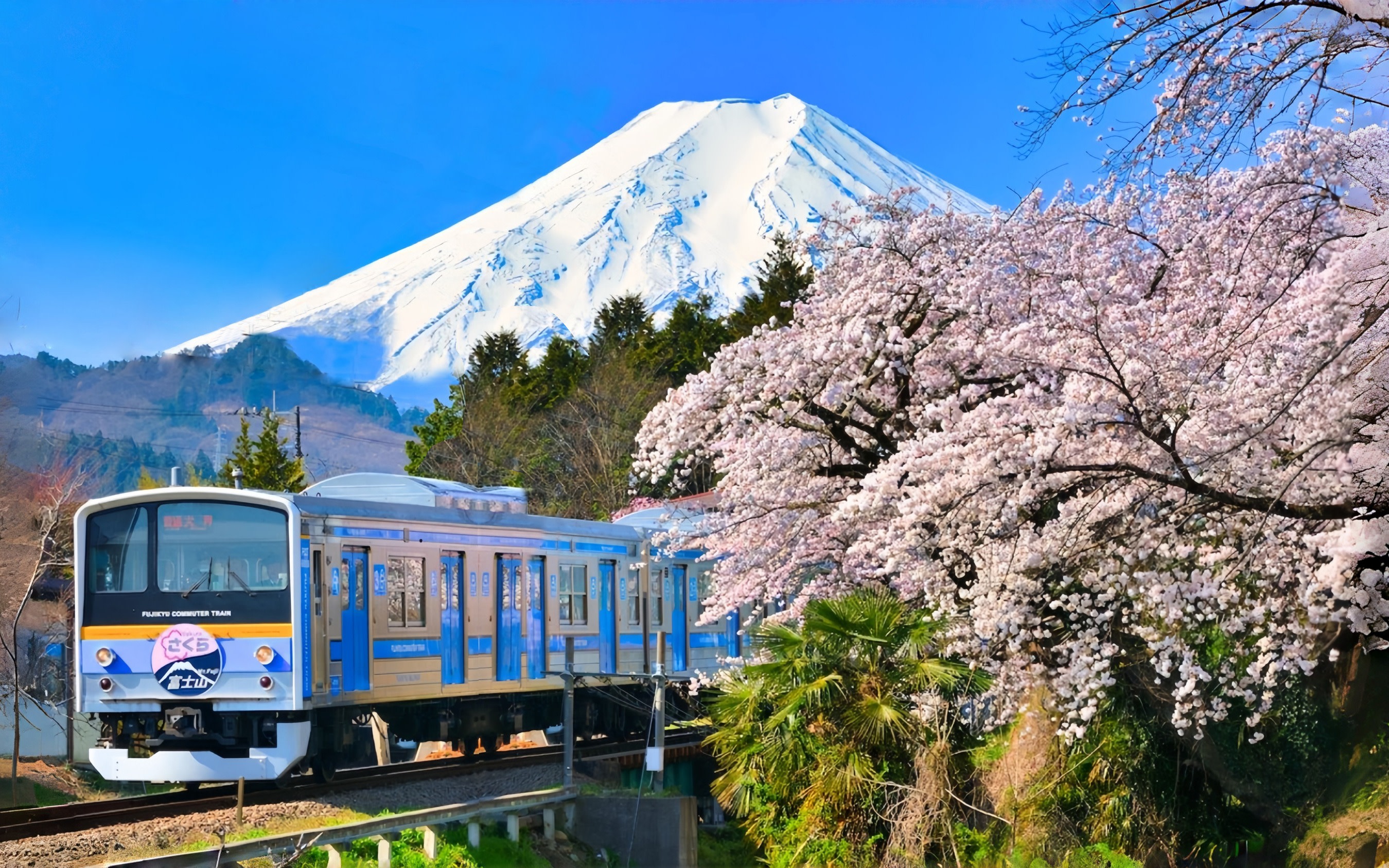 Mount Fuji's most beautiful train experience | Asama Park + Nikawa Clock Shop + Fujikyu Train + Lawson Convenience Store + Kawaguchiko Cruise/Ropeway + Lake Yamanaka Swan Feeding [Free Little Train Ticket]