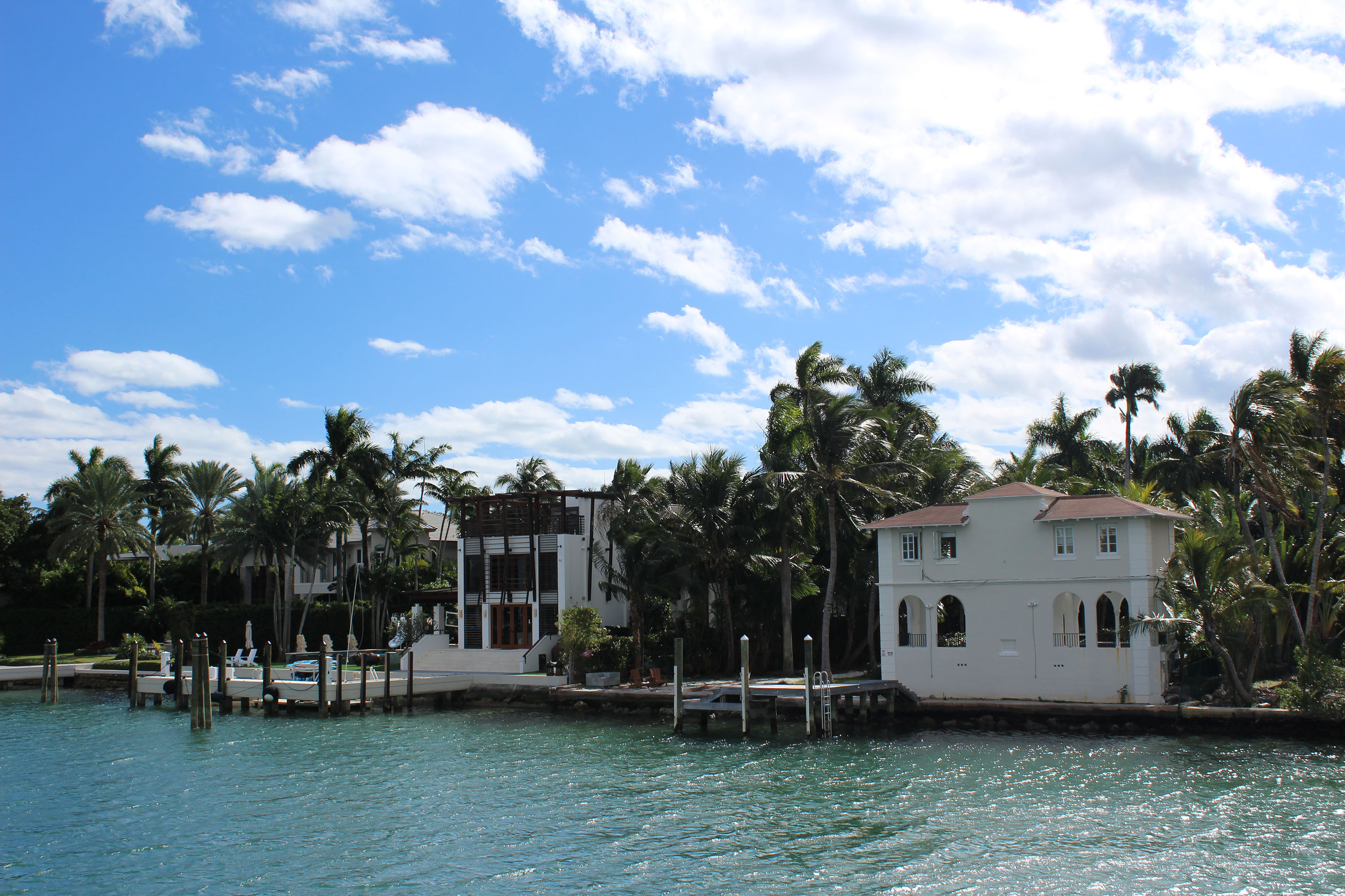 Miami Safari: All-in-1 Tour, Bus, Boat and Walking Best Discovery