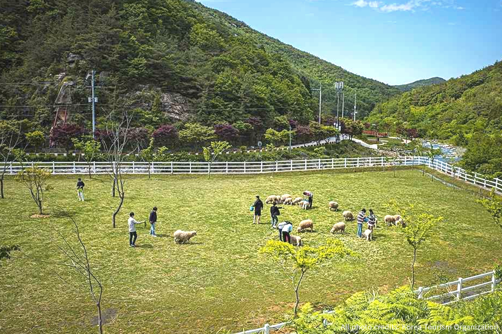Namhae Sheep Ranch yangmartre Hill