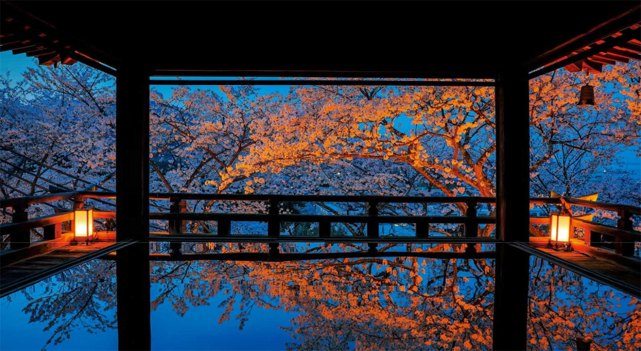 櫻花季限定-關西美秀美術館/近江八幡&三井寺&琵琶湖第一疏水賞夜櫻一日遊｜大阪/京都出發