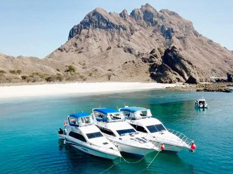 科莫多島全日快艇遊（East Cruise Komodo）