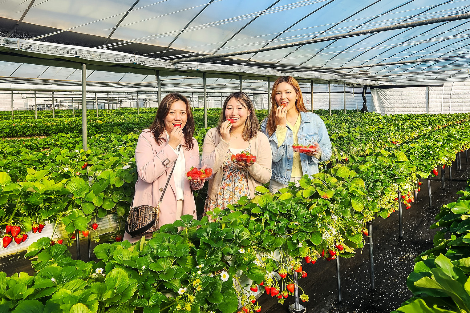 Seoul One Day Tour: Nature & Scenic Views