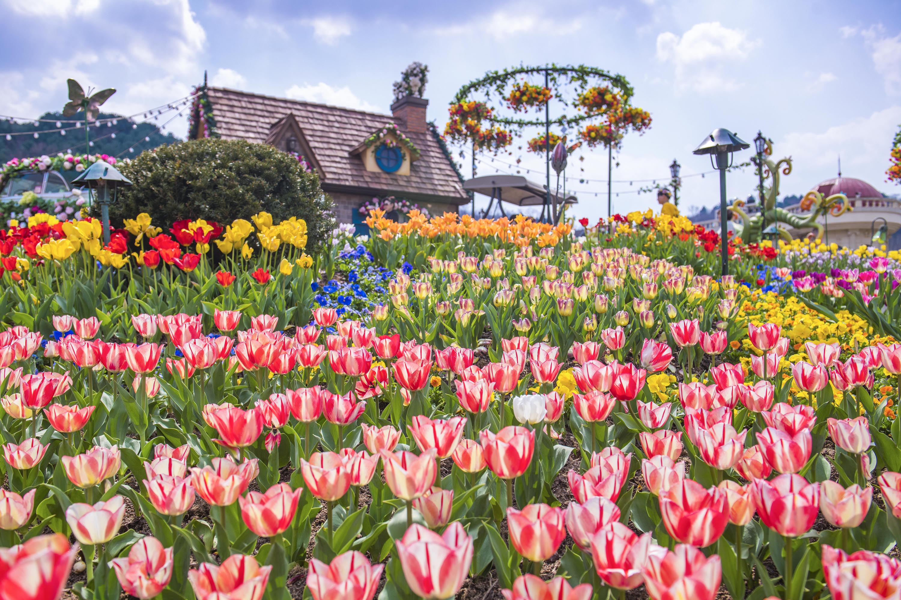 Everland & Lotte World One-day Adventure & City Tour