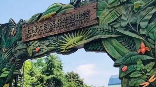 Shanghai Natural Wild Insect Museum