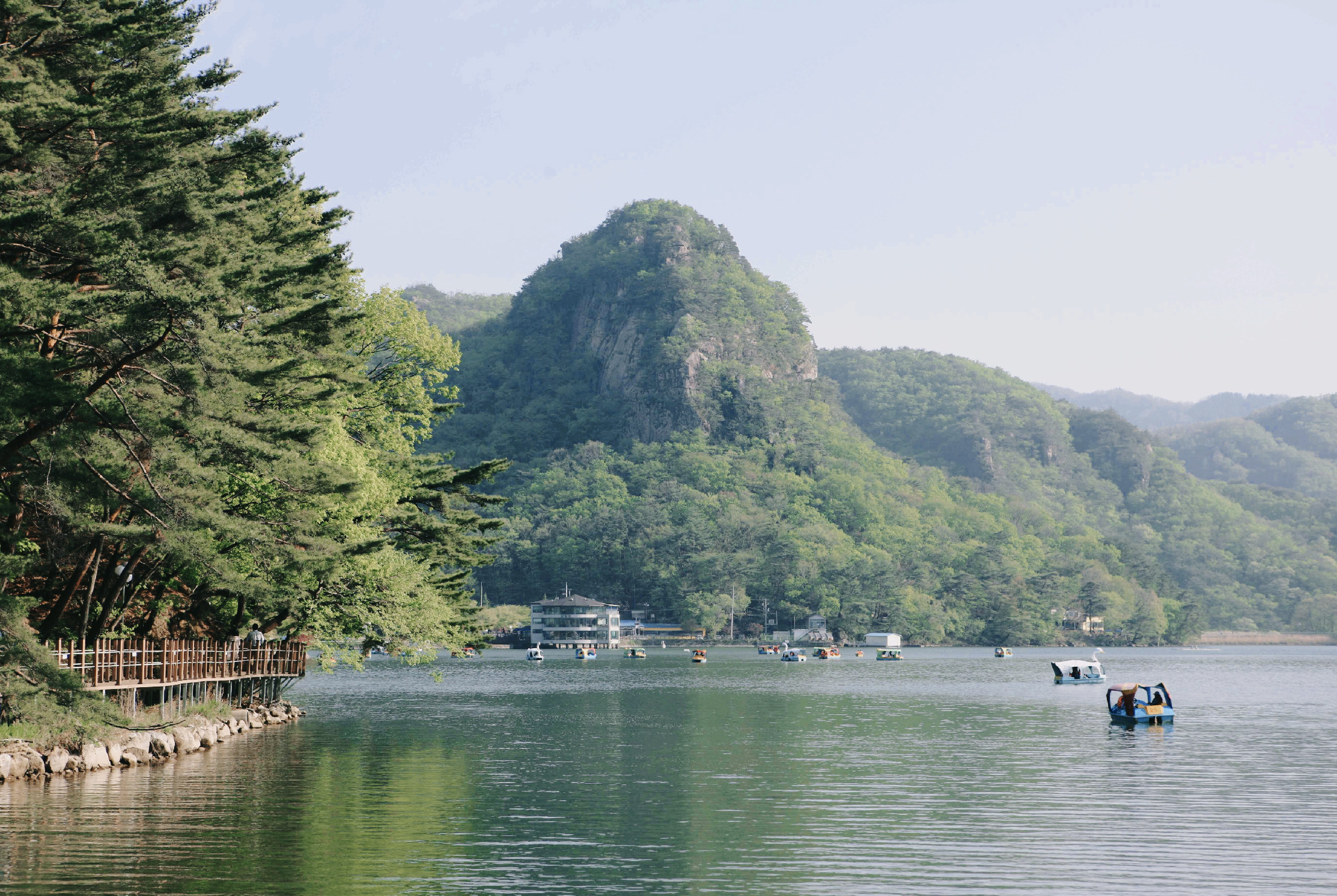 浦川 & 季節性熱門景點一日遊