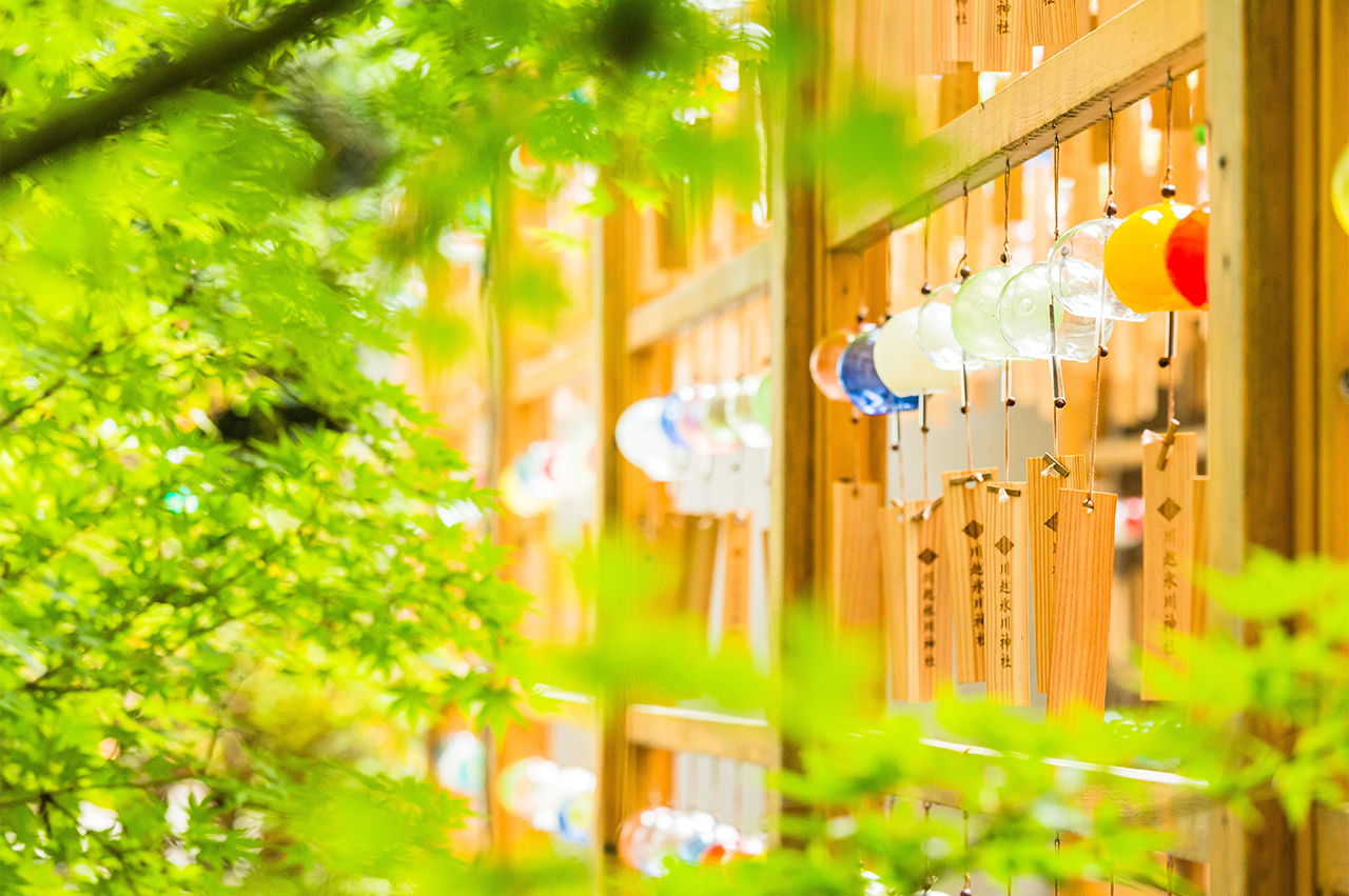 小眾度假聖地：輕井澤一日遊 ｜輕井澤奧特萊斯或星野度假區之雲場池*星野溫泉 + 川越小江戶+冰川神社 |東京出發