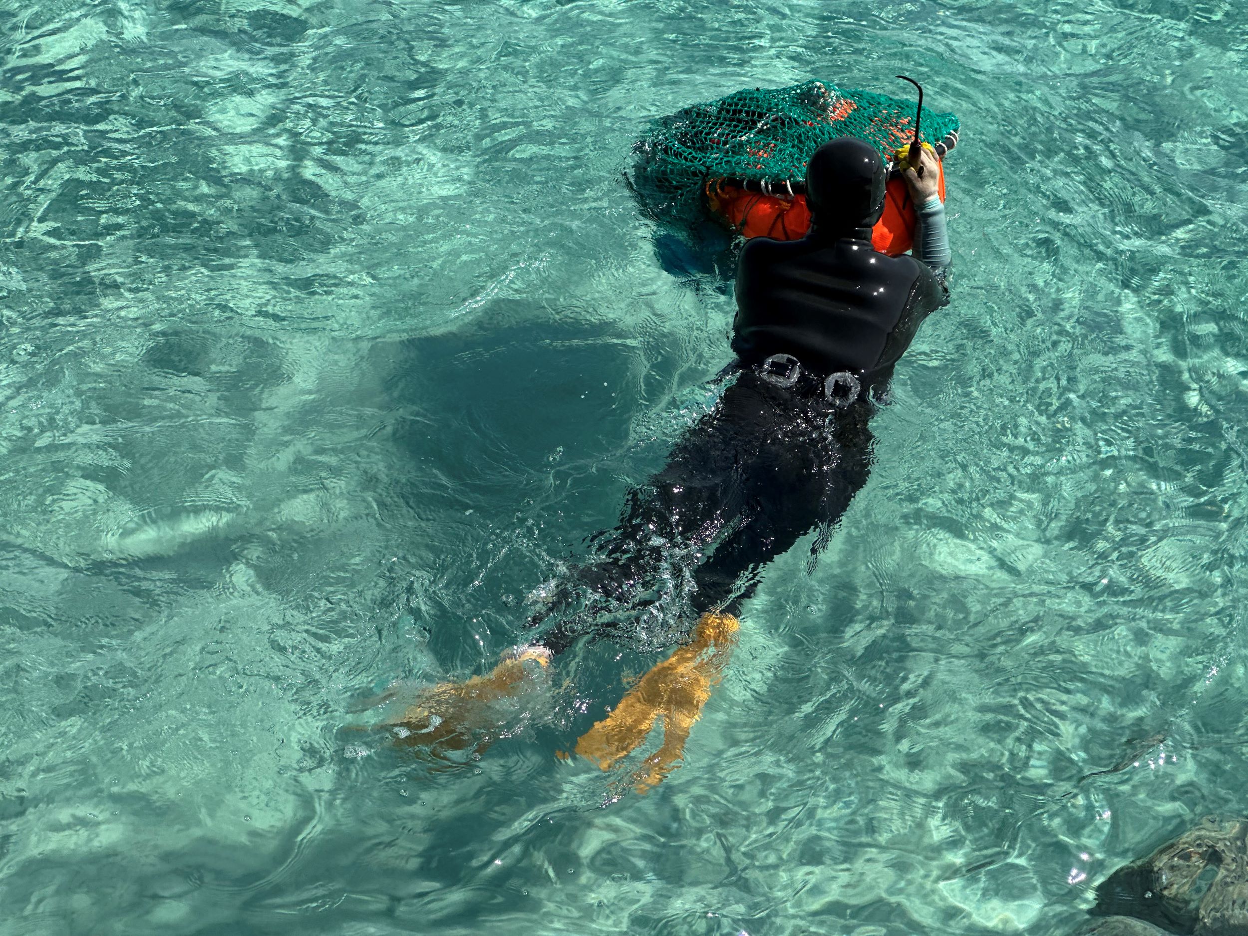 欣賞海女下海捕撈漁獲，感受被聯合國教科文組織列為文化遺產的濟州 (Jeju) 海女文化。（約15分鐘，視天氣狀況而定）