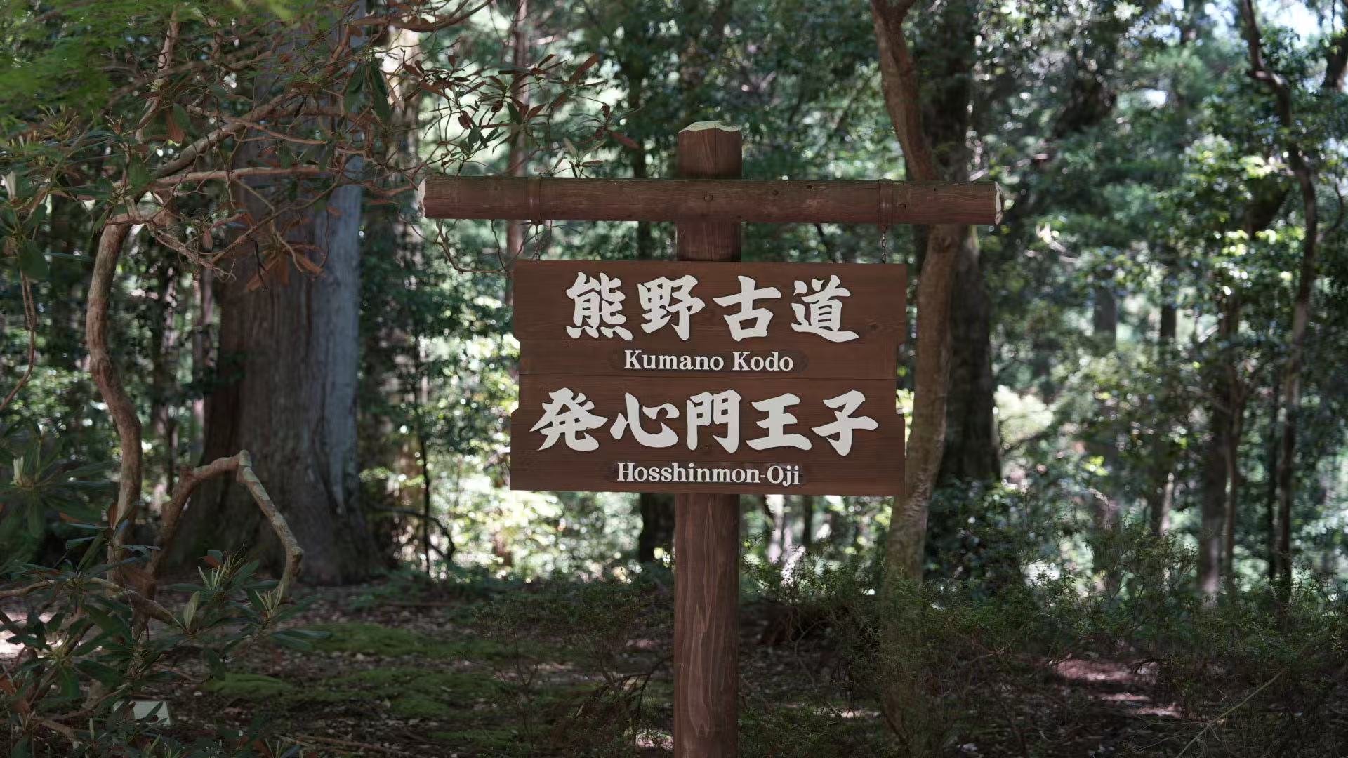 Kansai Minor Hidden Gems Day Trip: Awaji Island/Mount Koya/Kumano Kodo - Choose One, Depart from Osaka Shinsaibashi