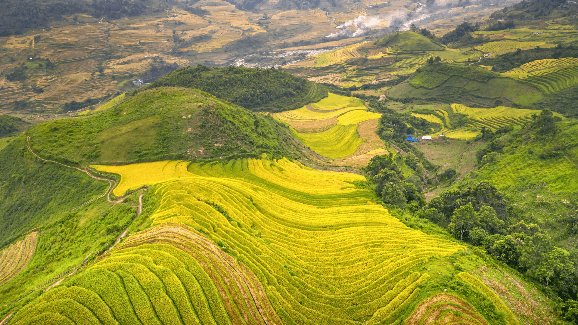 欣賞越南北部最具代表性的梯田景觀,感受大自然的鬼斧神工。 欣賞越南北部最具代表性的梯田景觀,感受大自然的鬼斧神工。