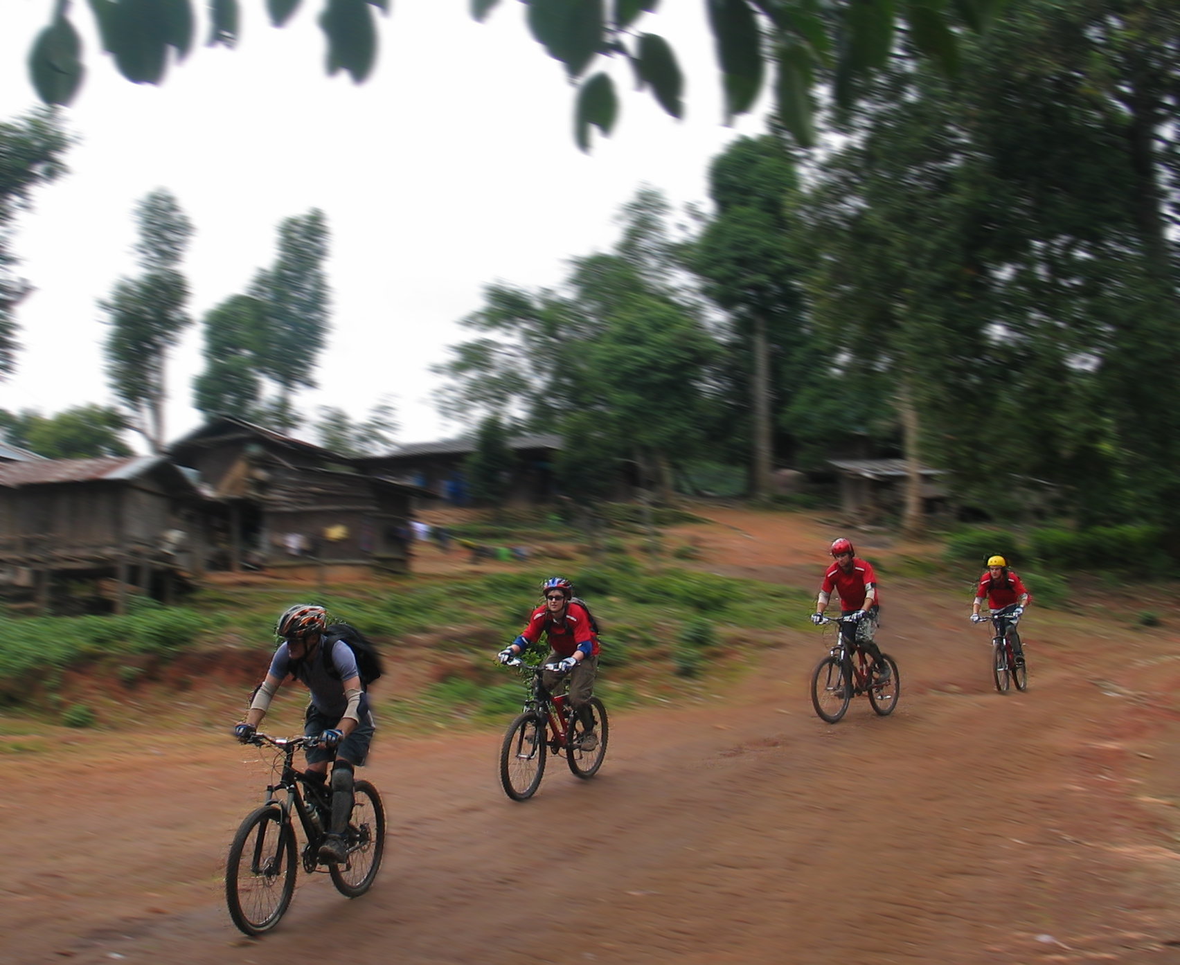 Doi Suthep National Park Downhill, offroad mountain biking 