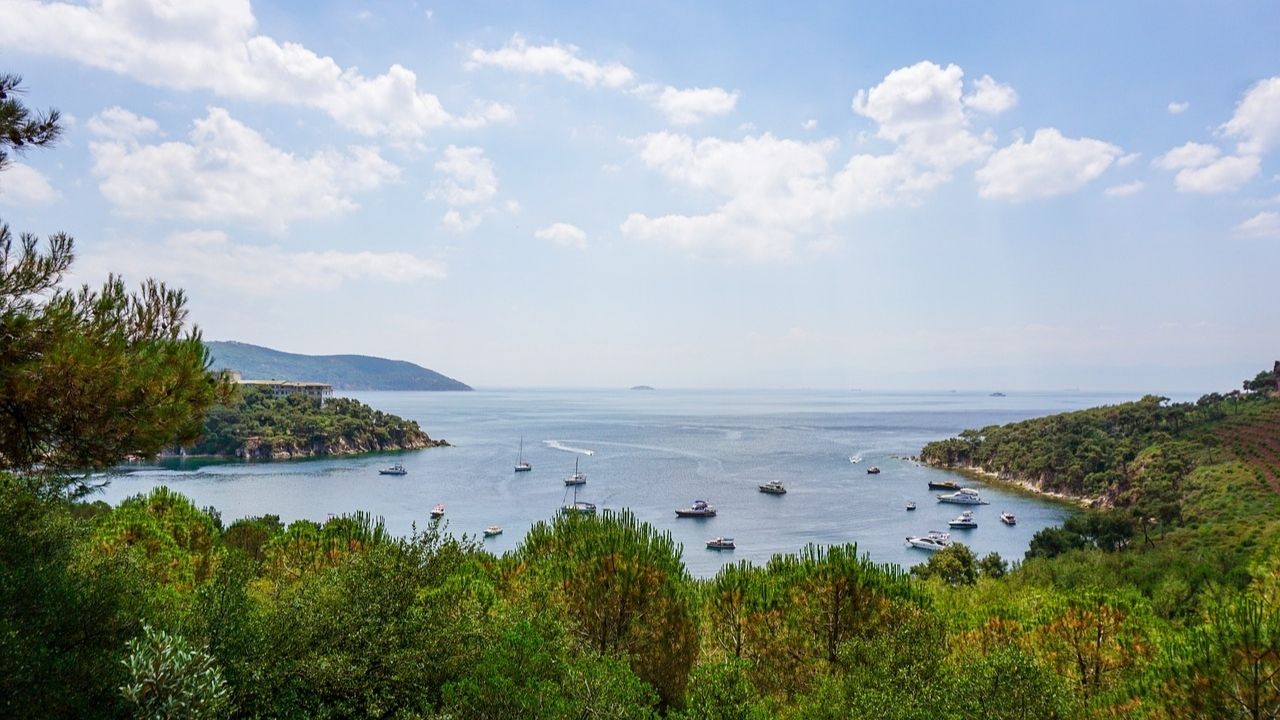 王子羣島：布尤卡達 & 赫貝里島之旅（含午餐） (2 個島嶼)