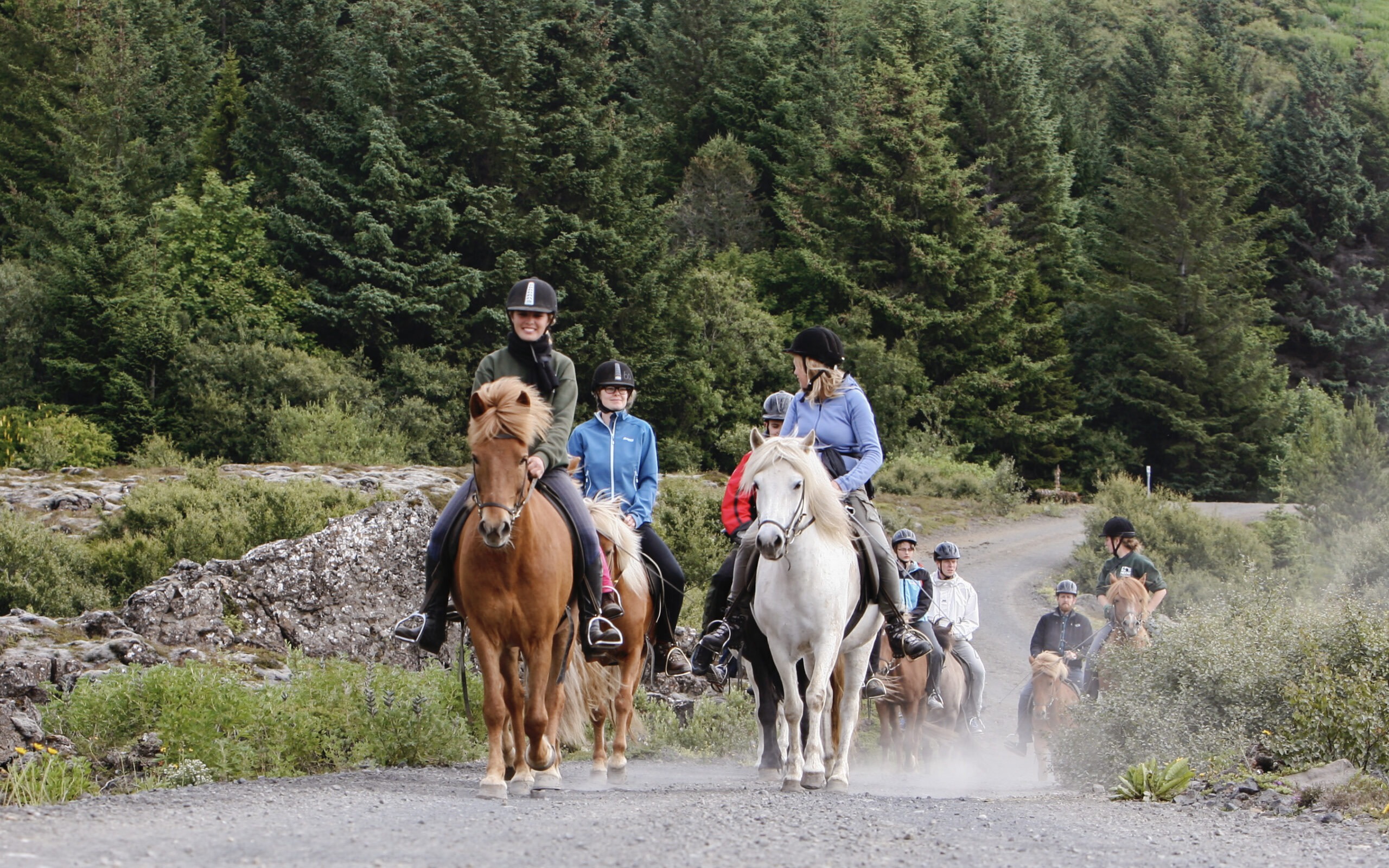 Lava Field Horse Riding Experience from Hafnarfjordur