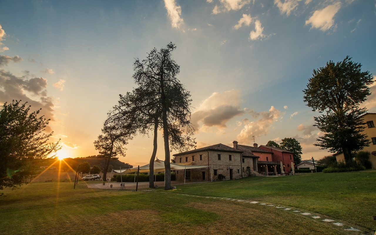 Pasta-Making Experience in Marche
